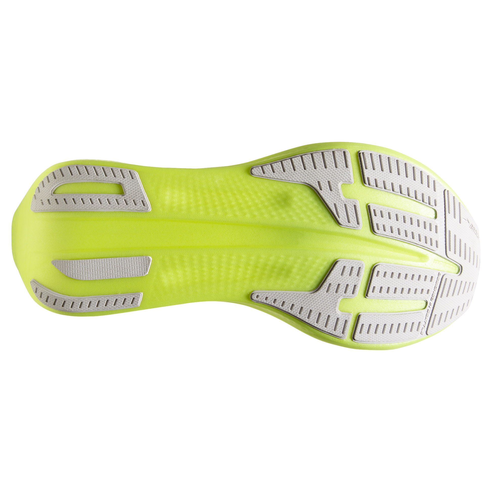 sole