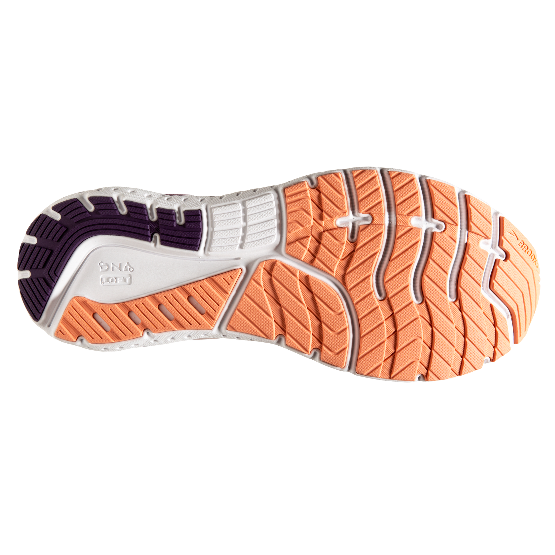 sole