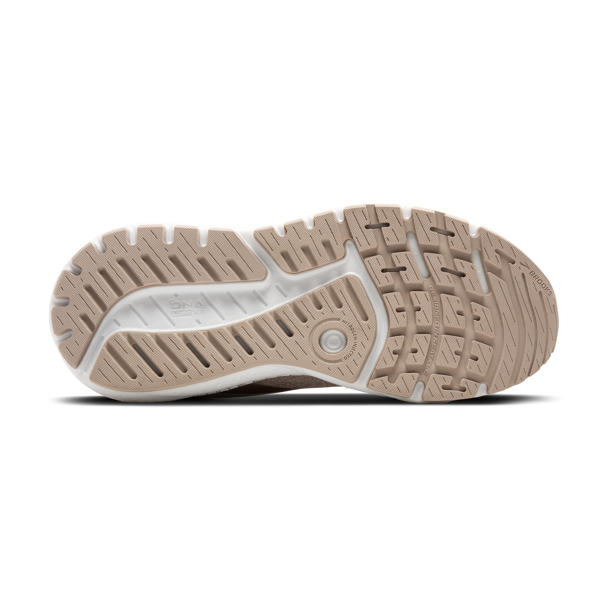 sole