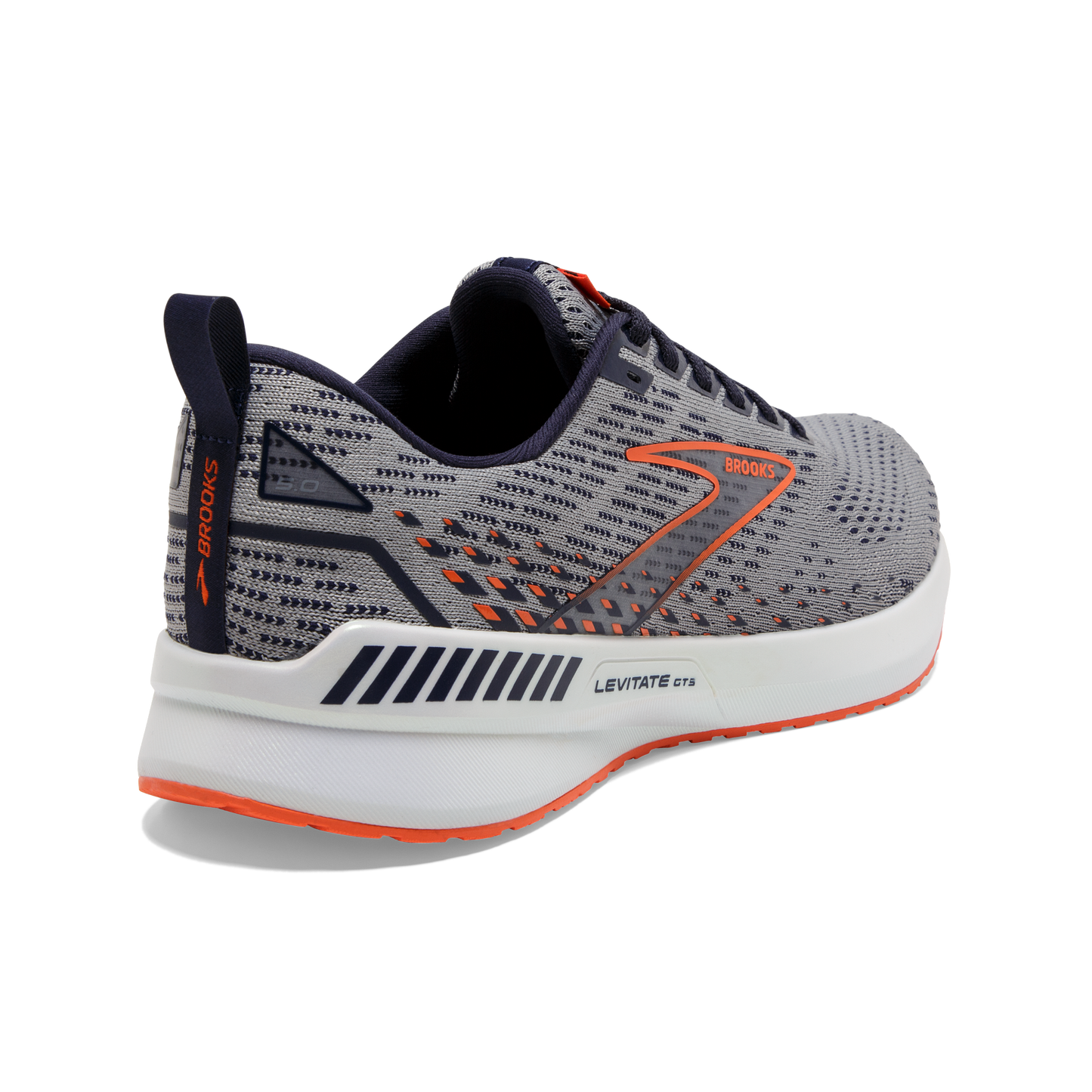 Men's Levitate GTS 5