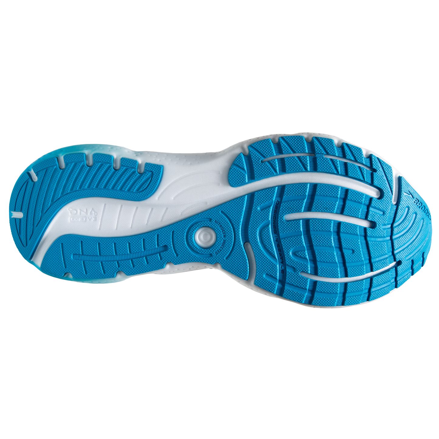 sole