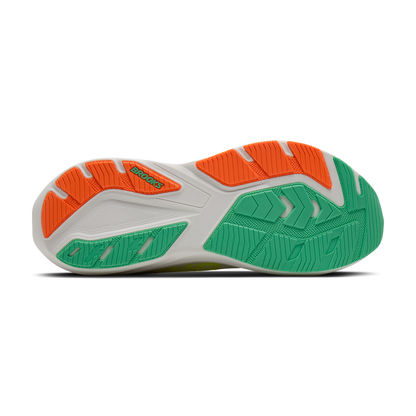 sole