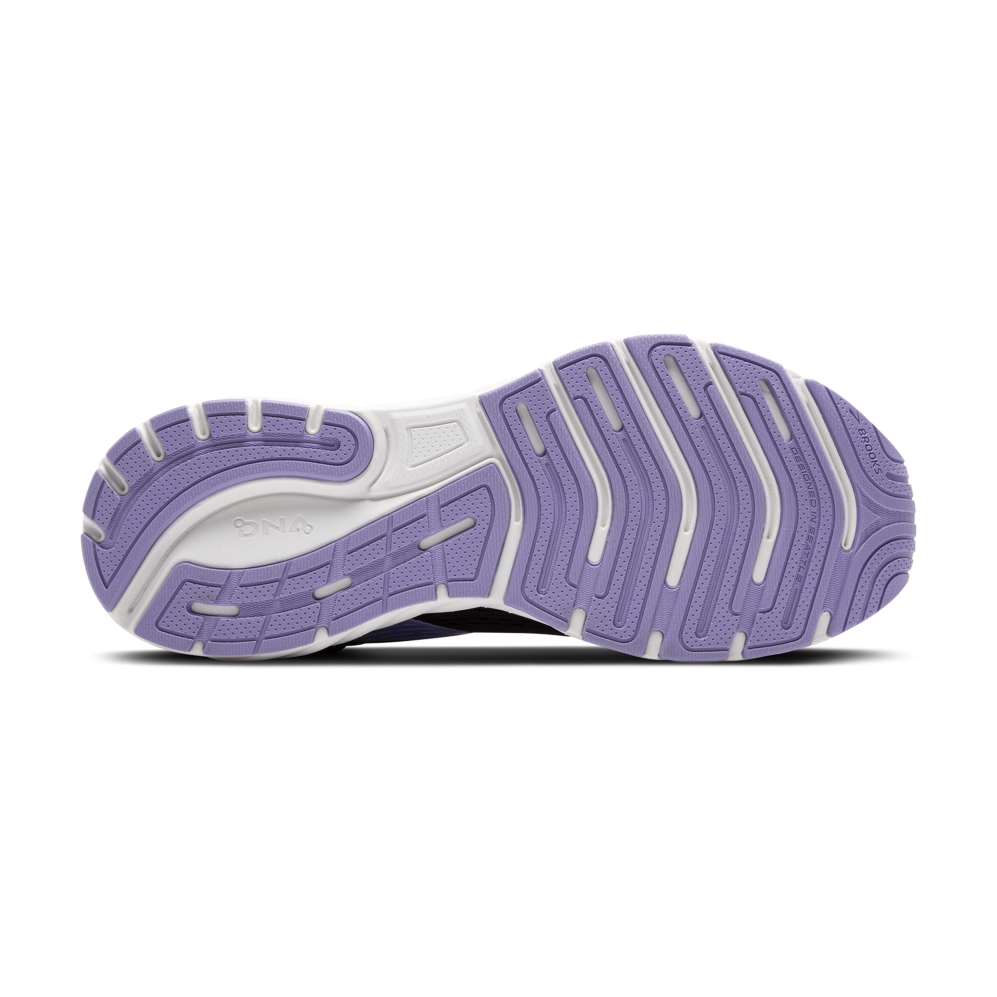 sole