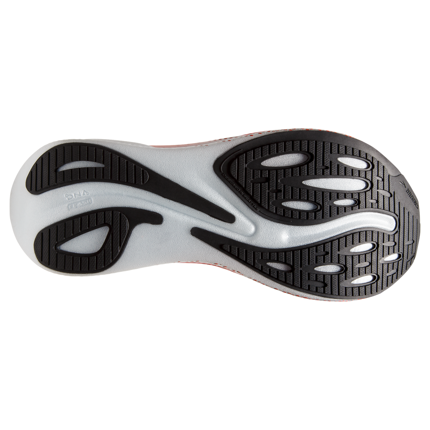 sole