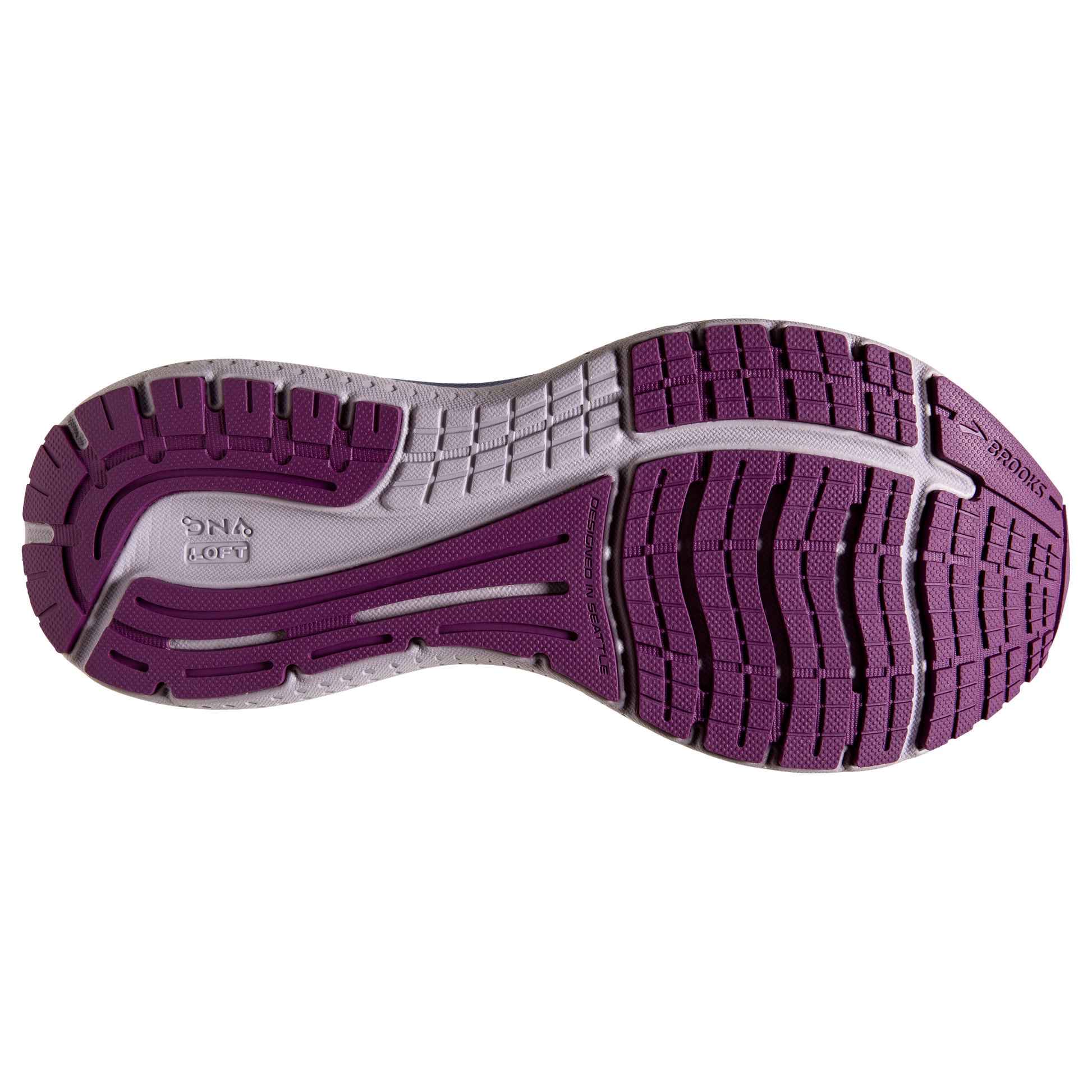 sole