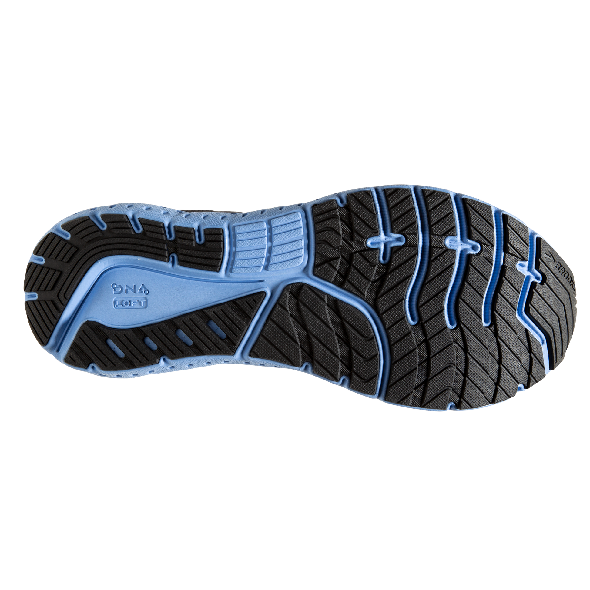 sole