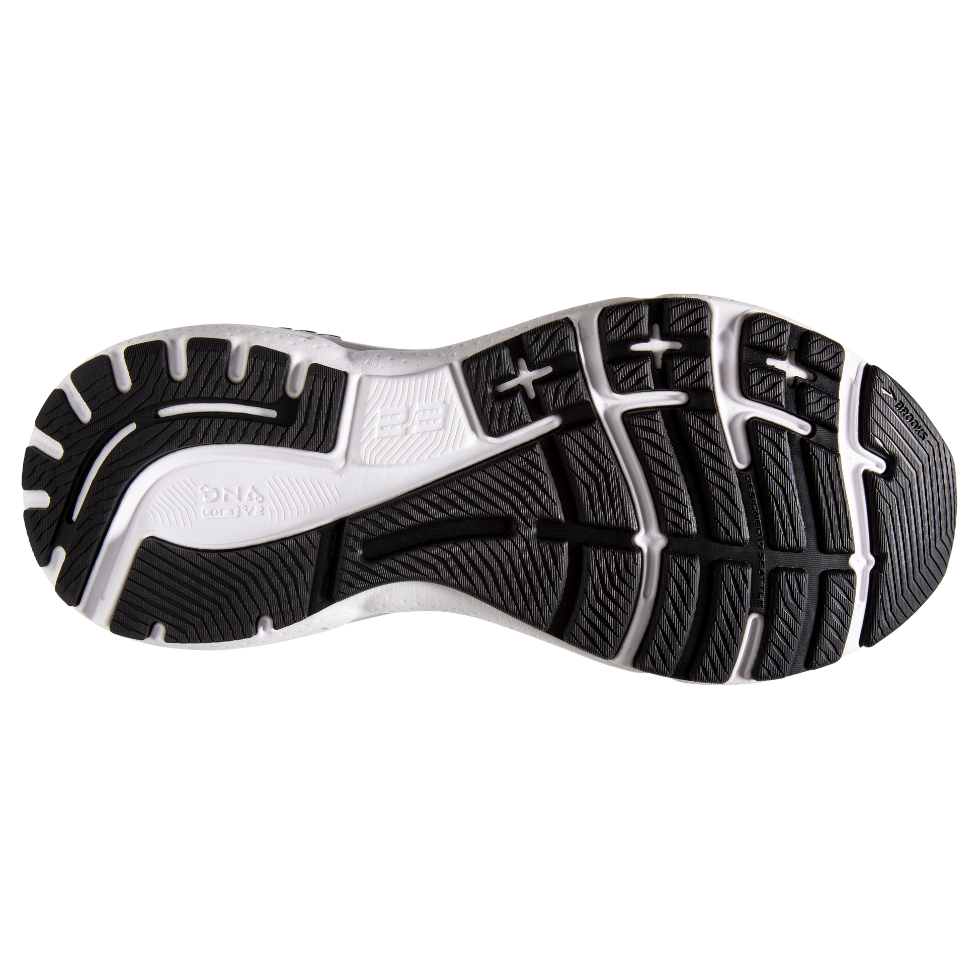 sole