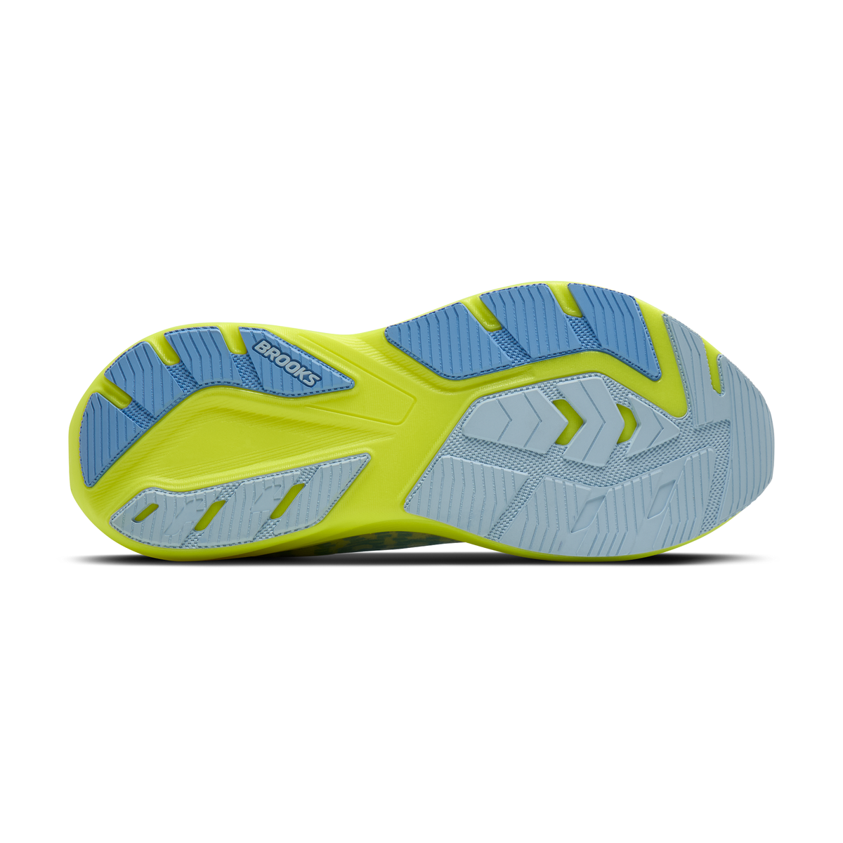 sole