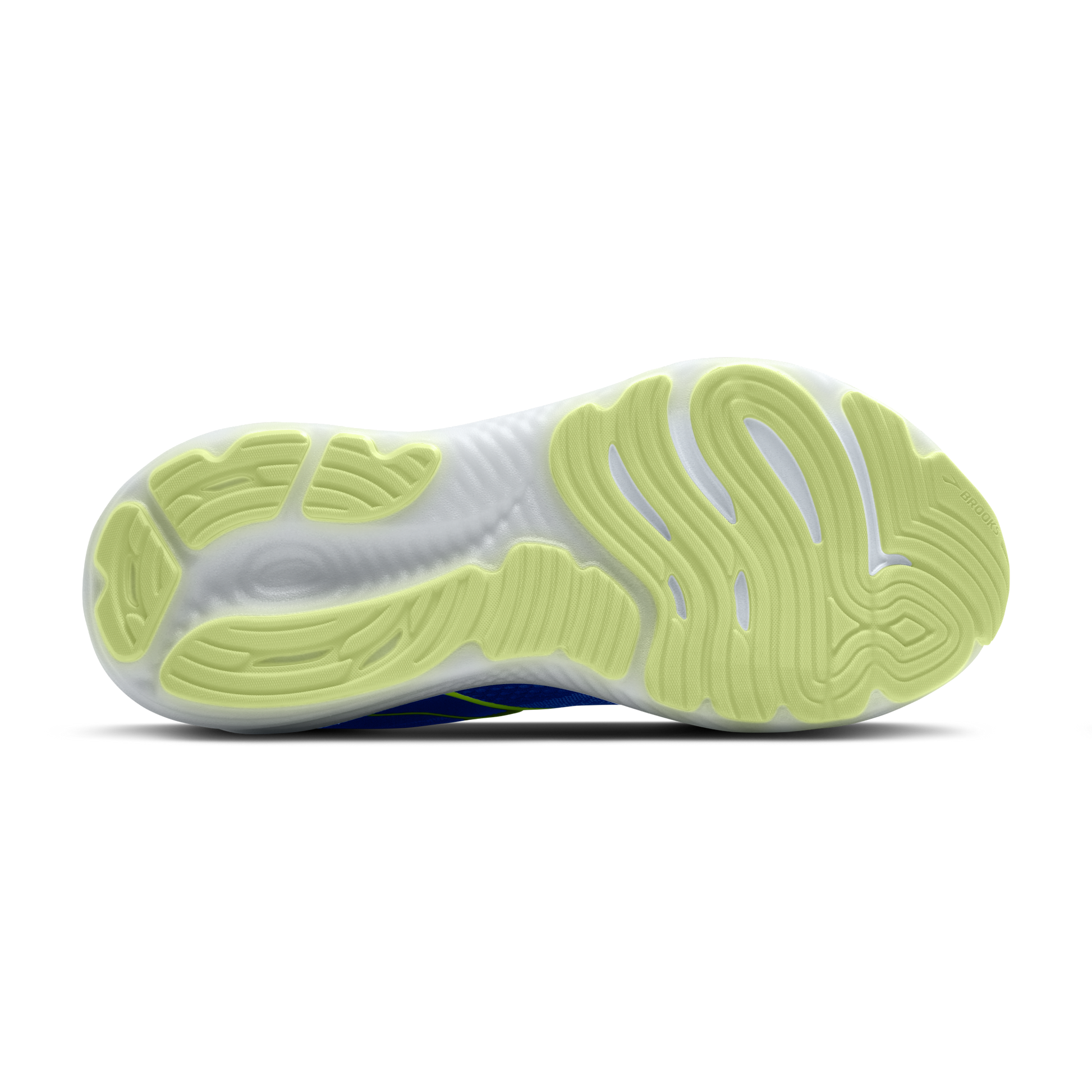 sole
