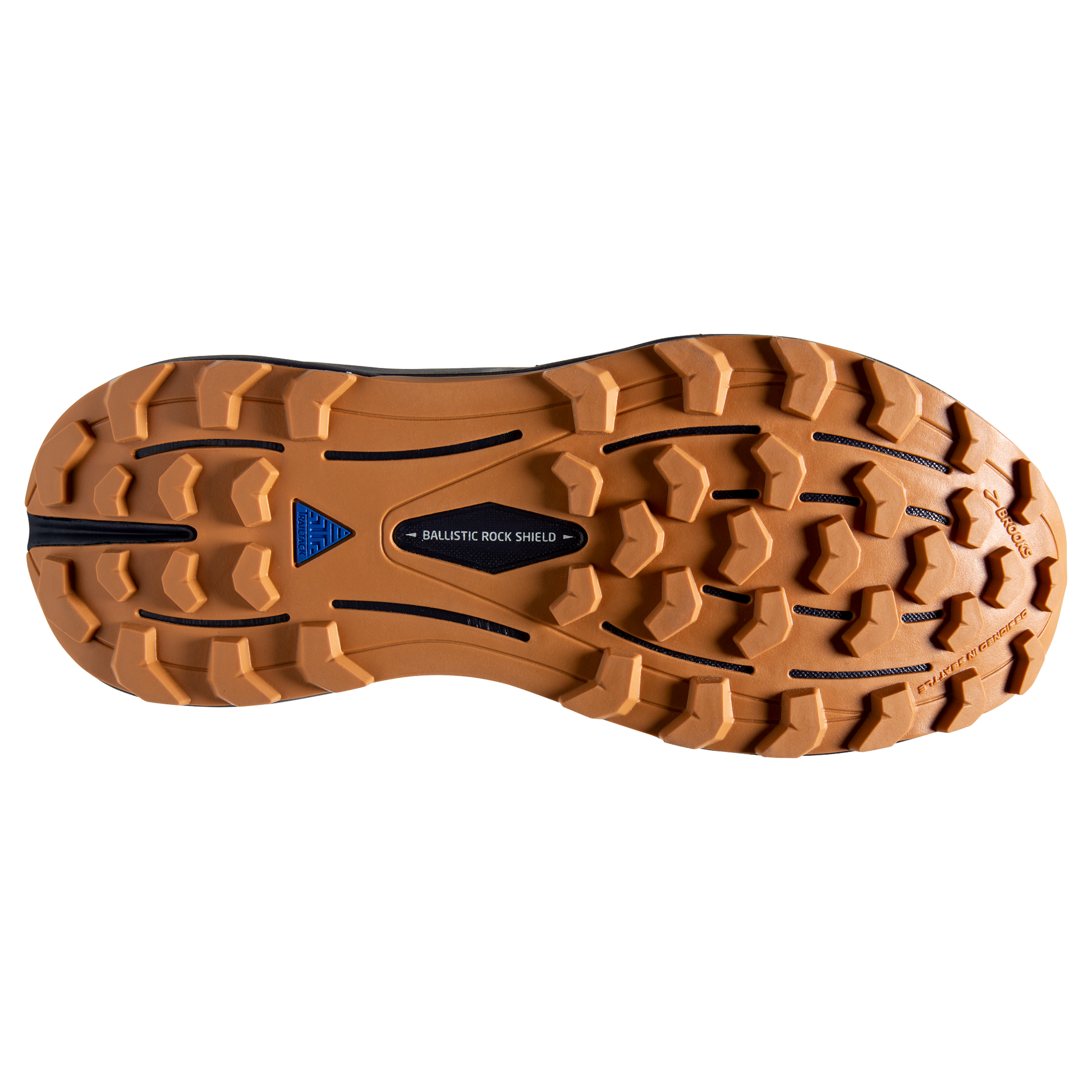 sole