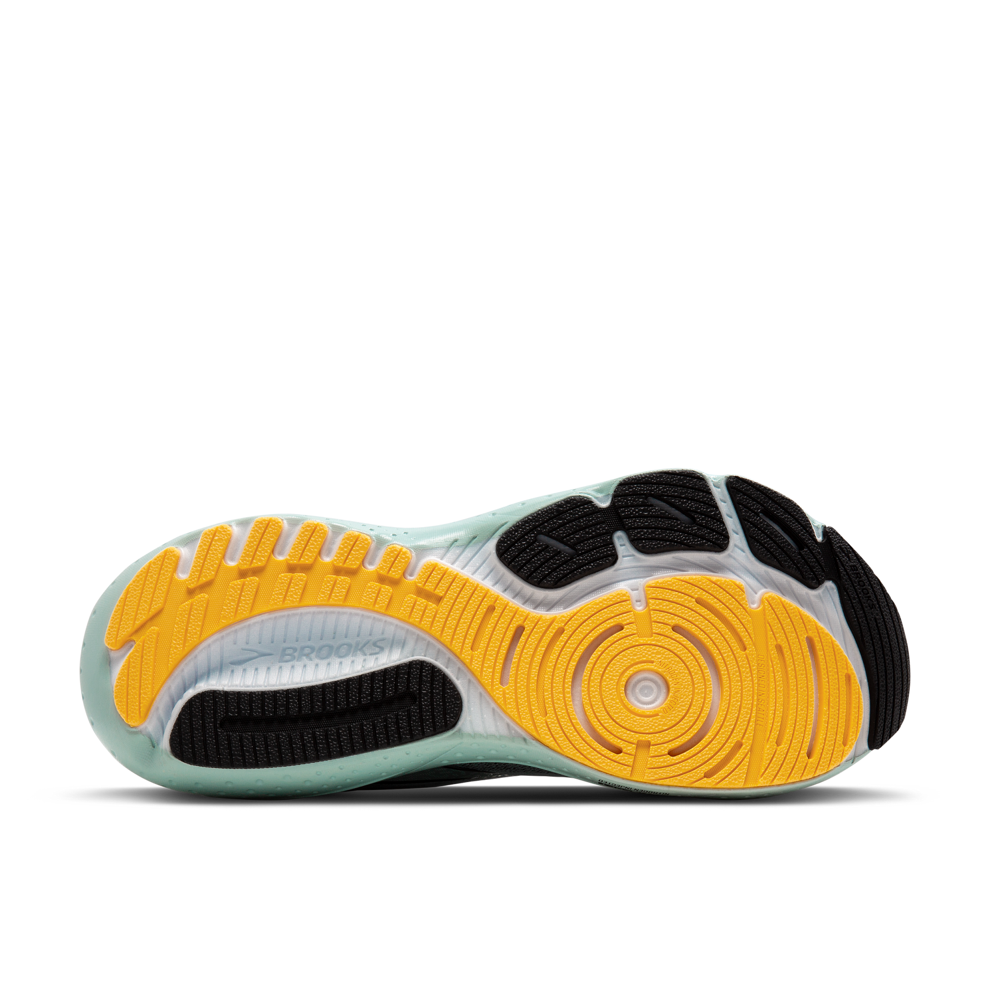 sole