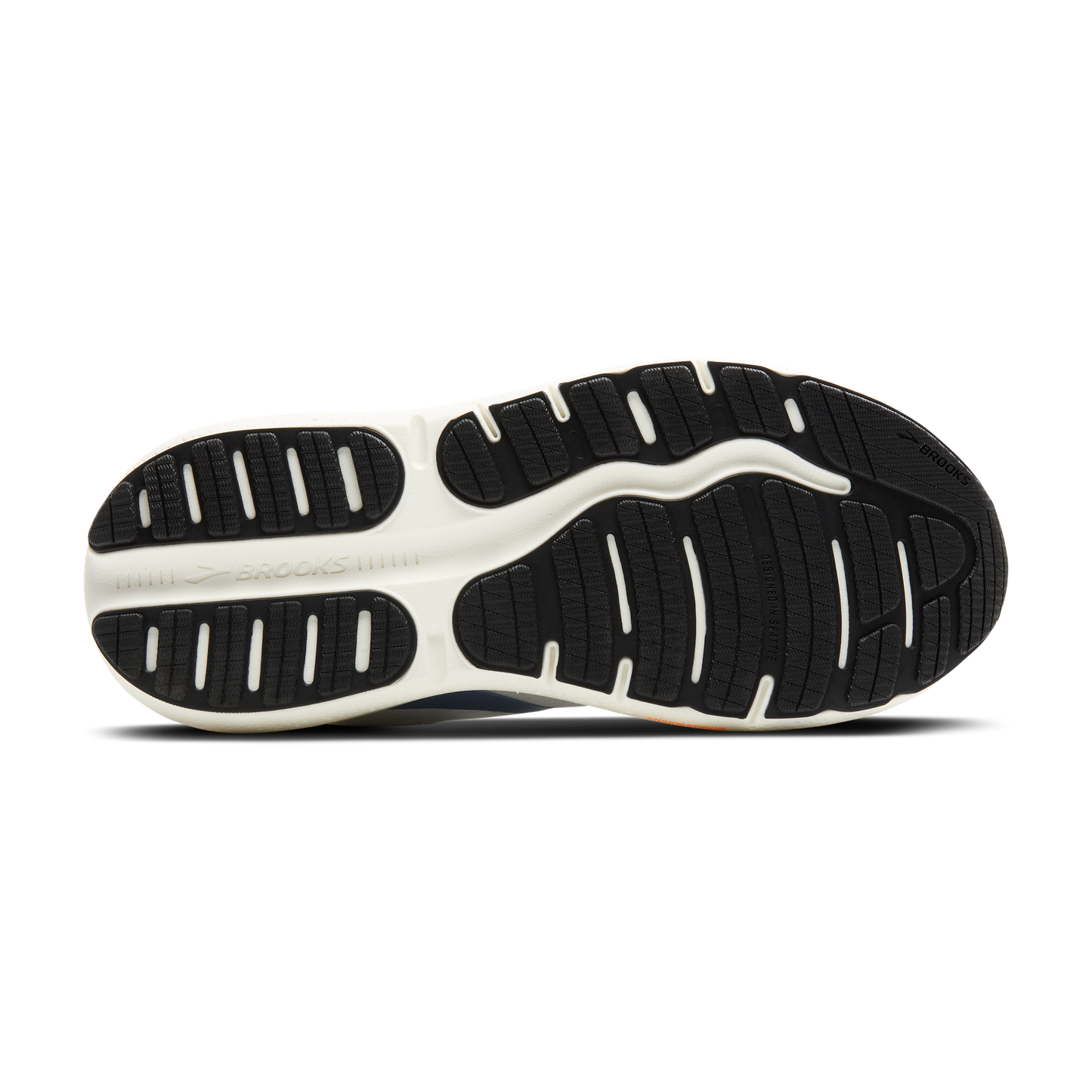sole