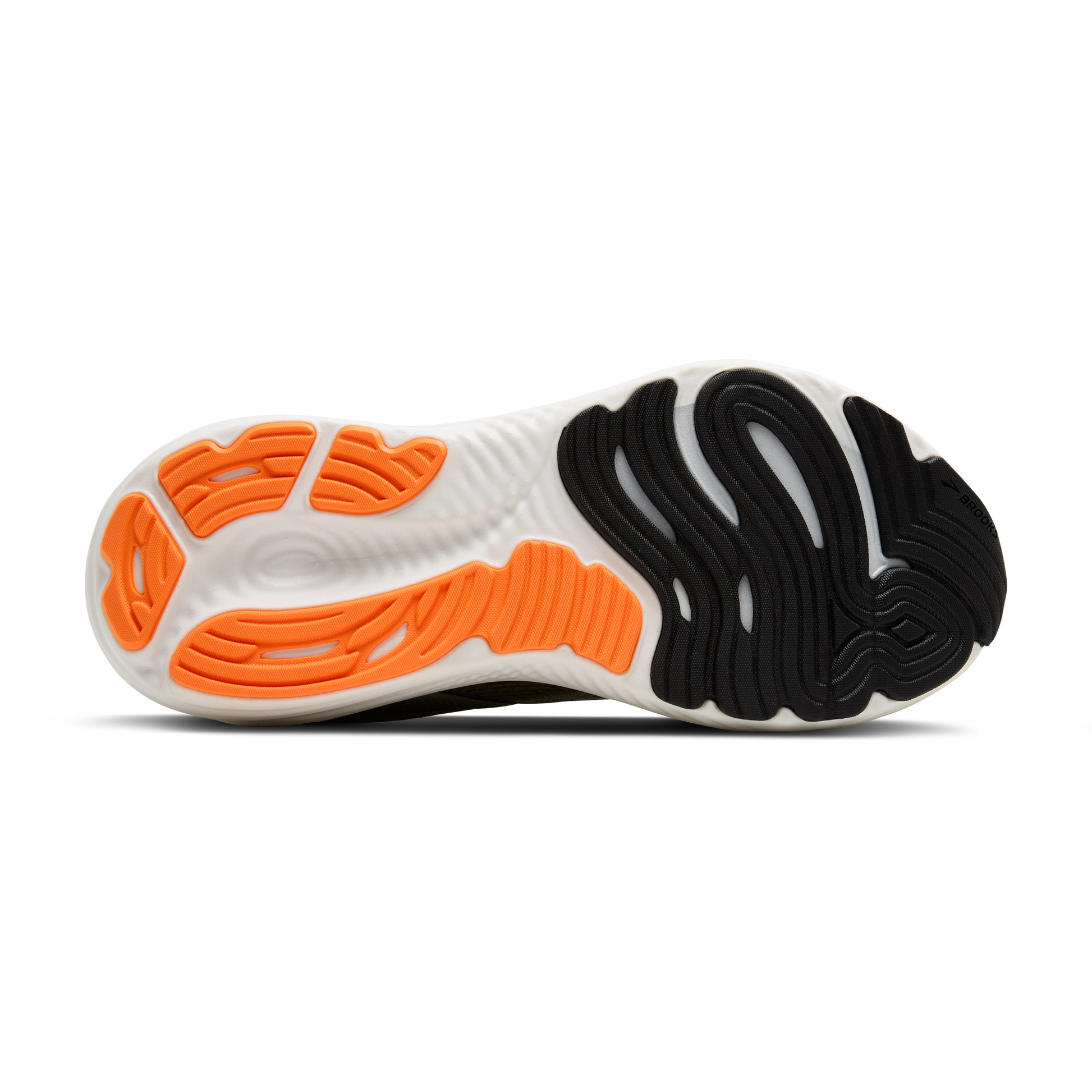 sole