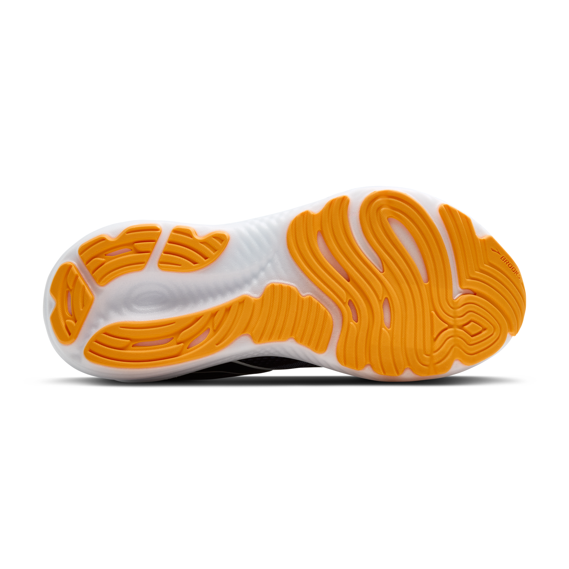 sole