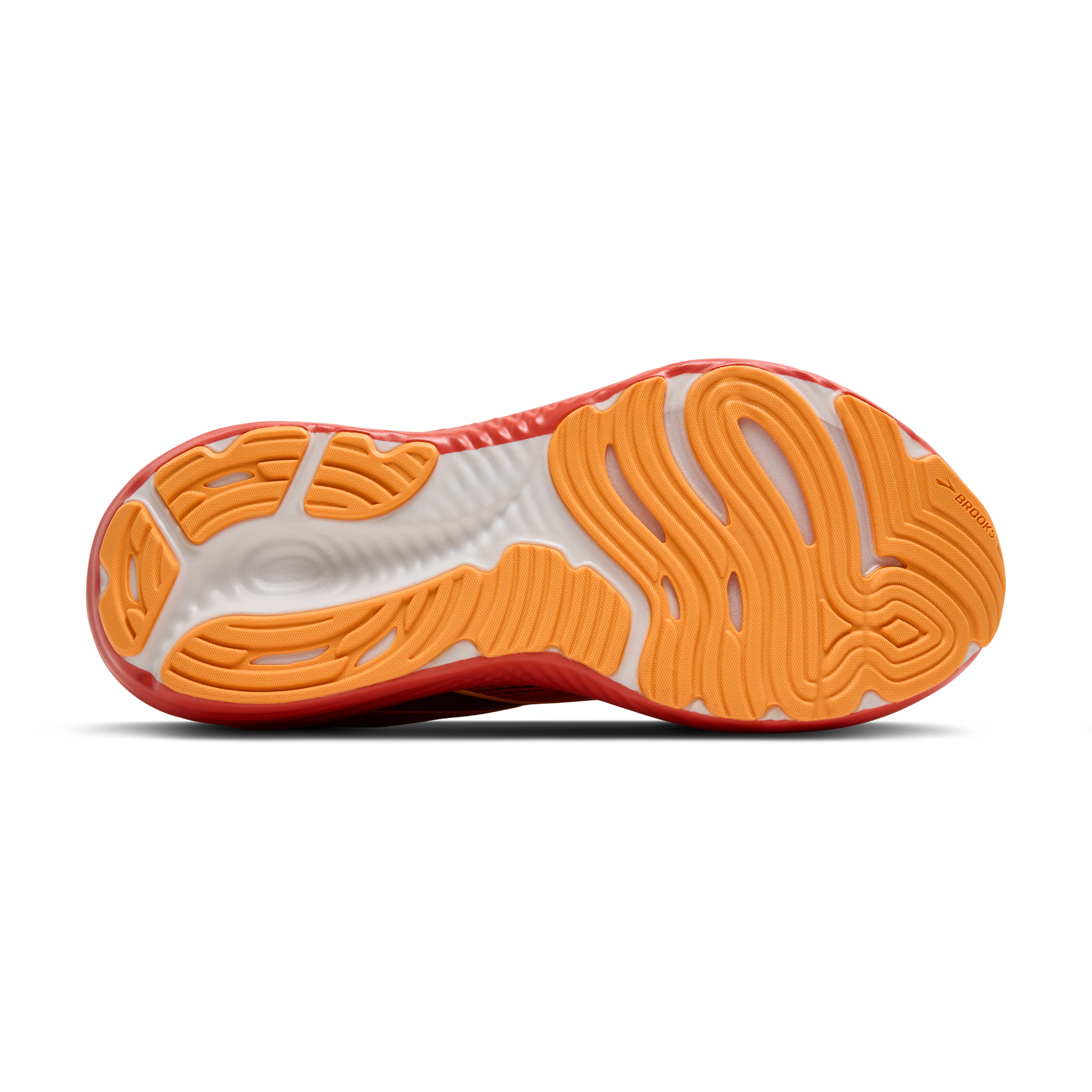 sole