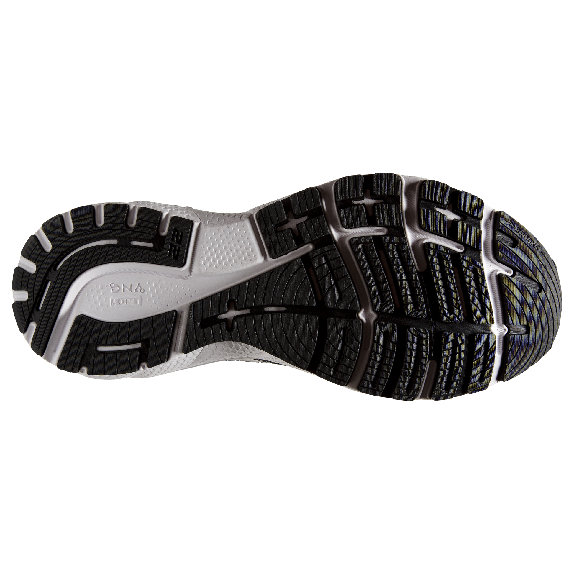 sole