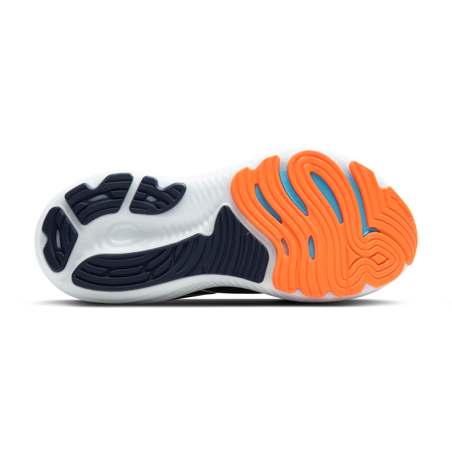 sole