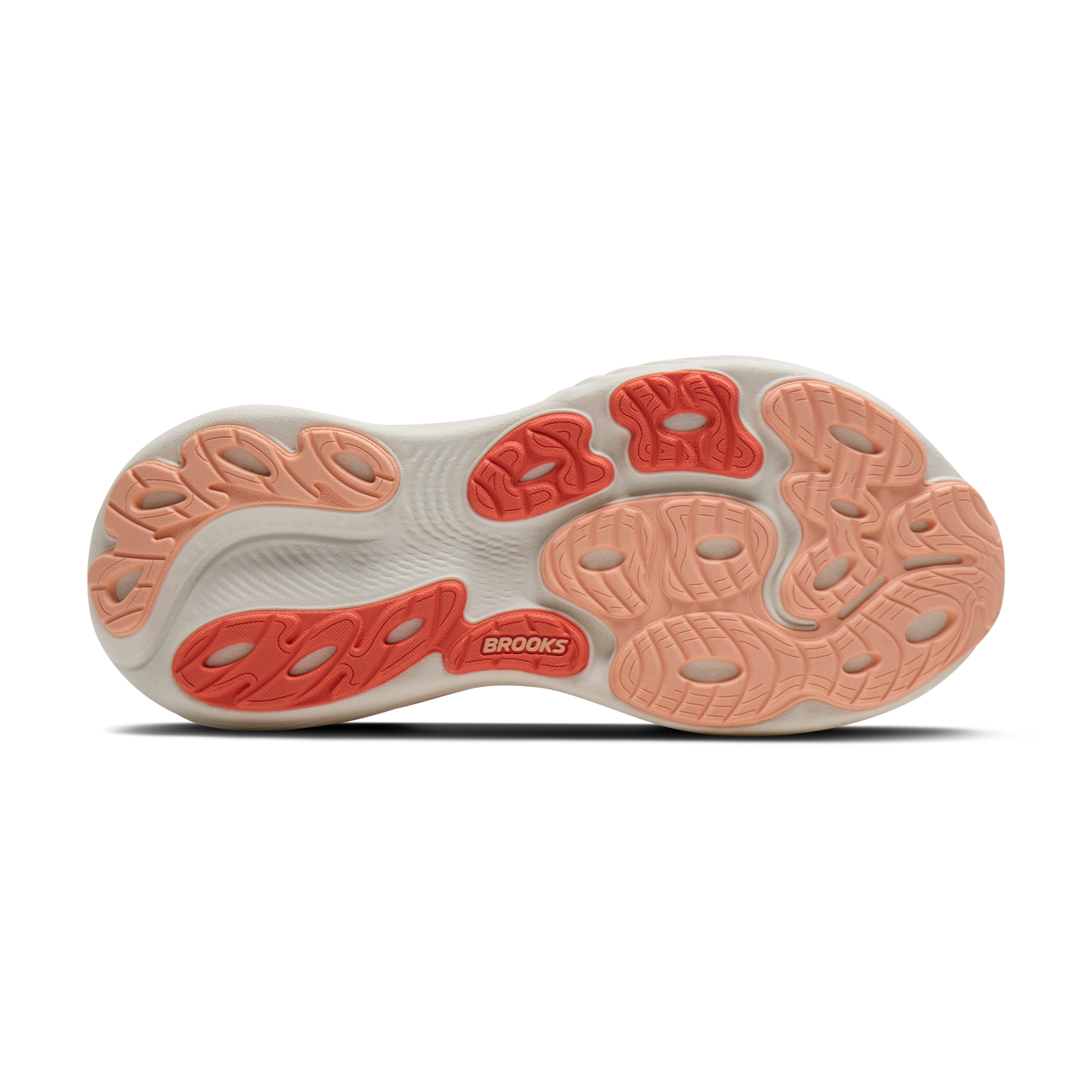sole
