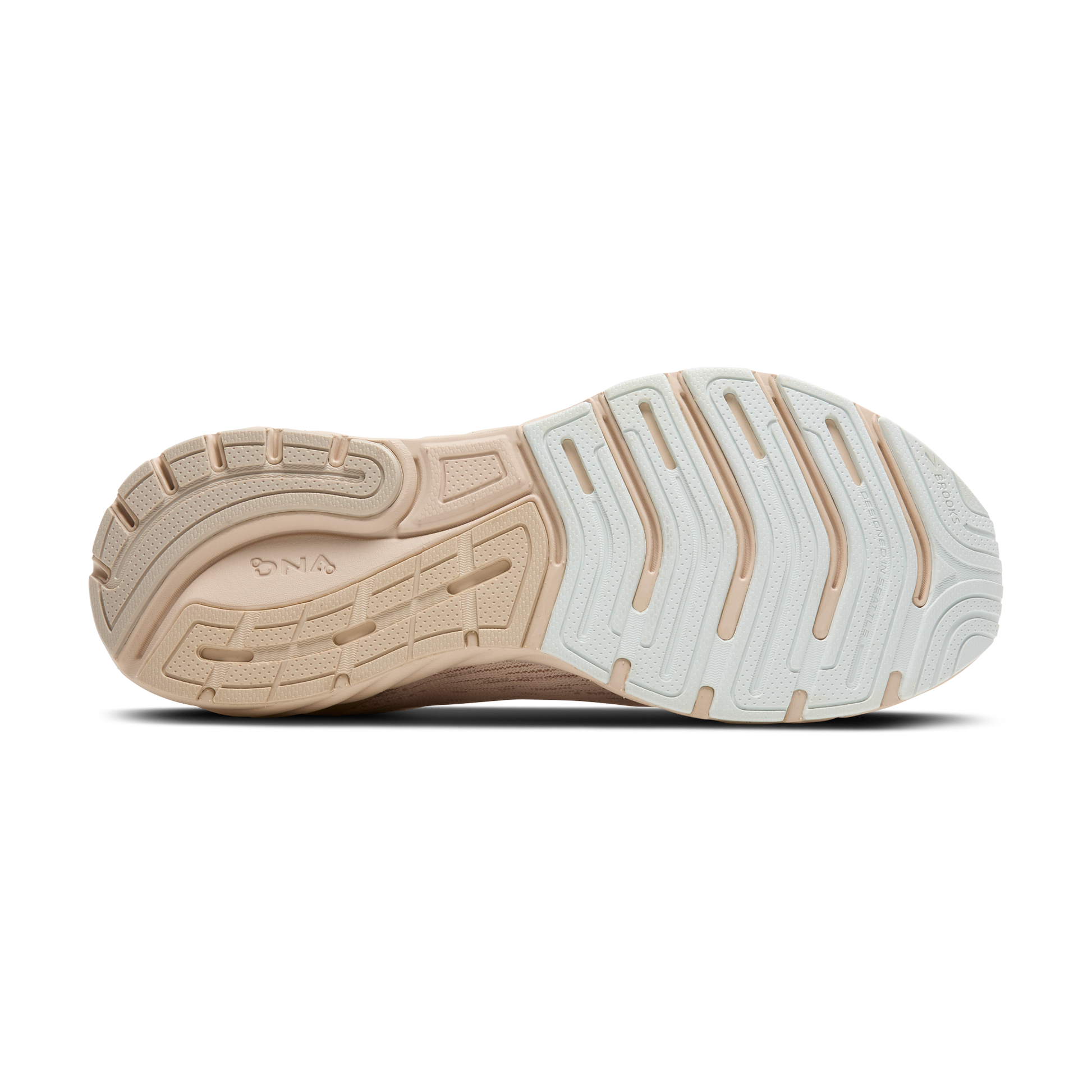 sole