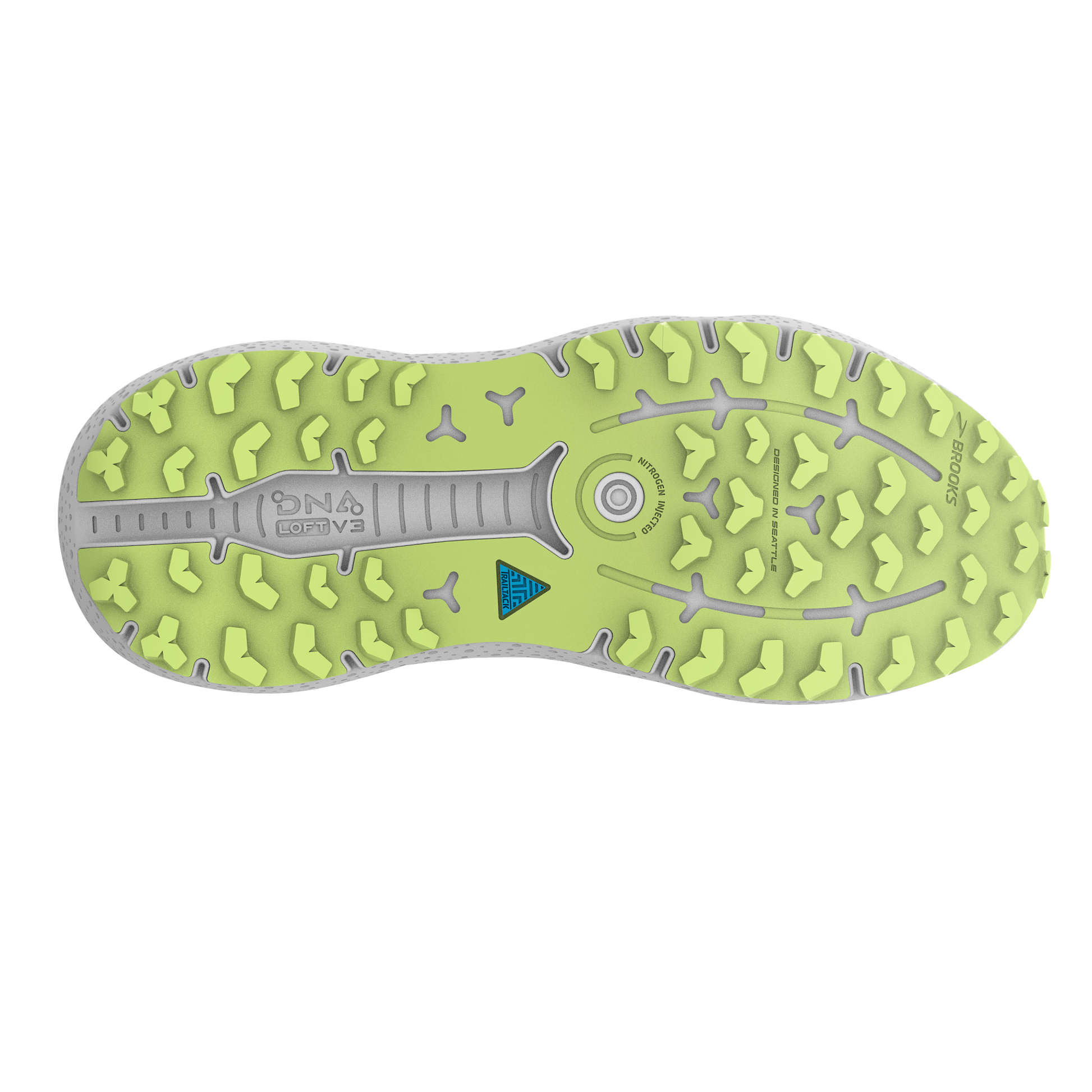 sole