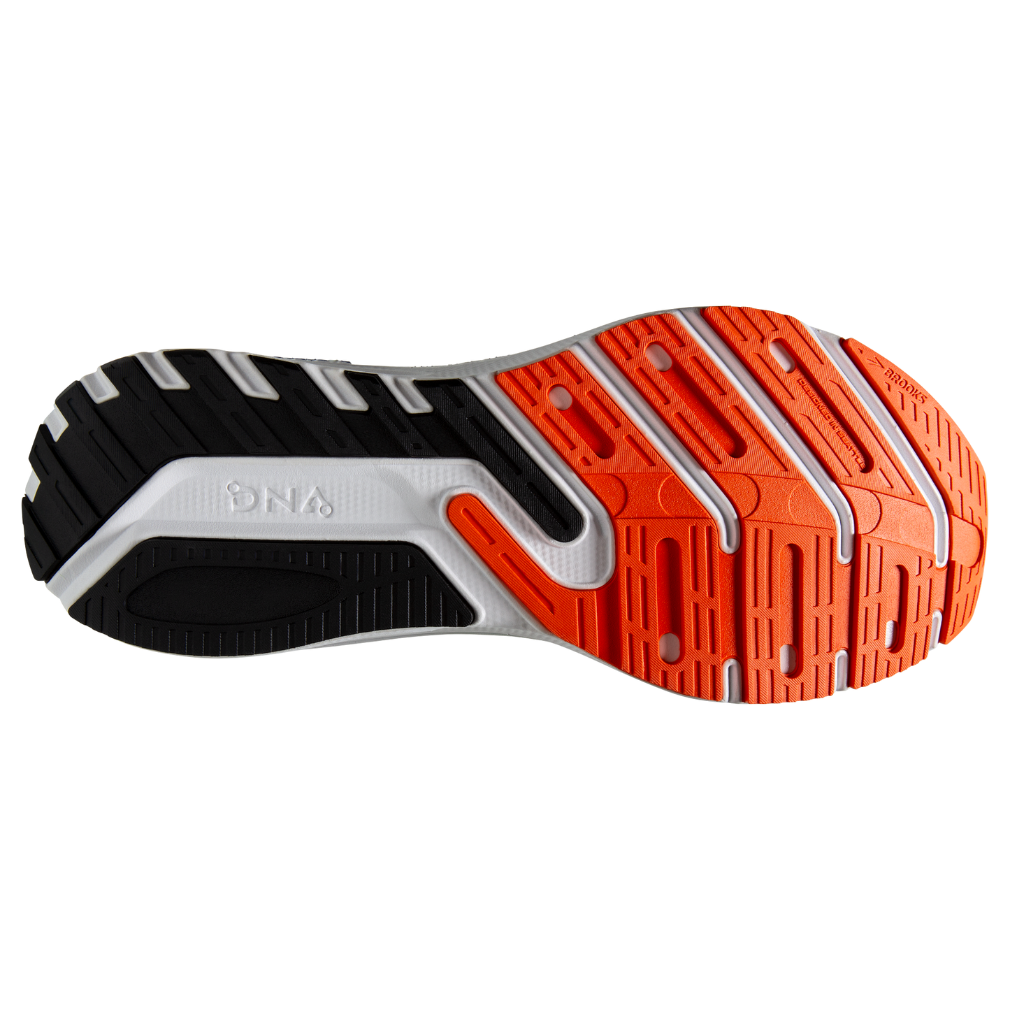 sole