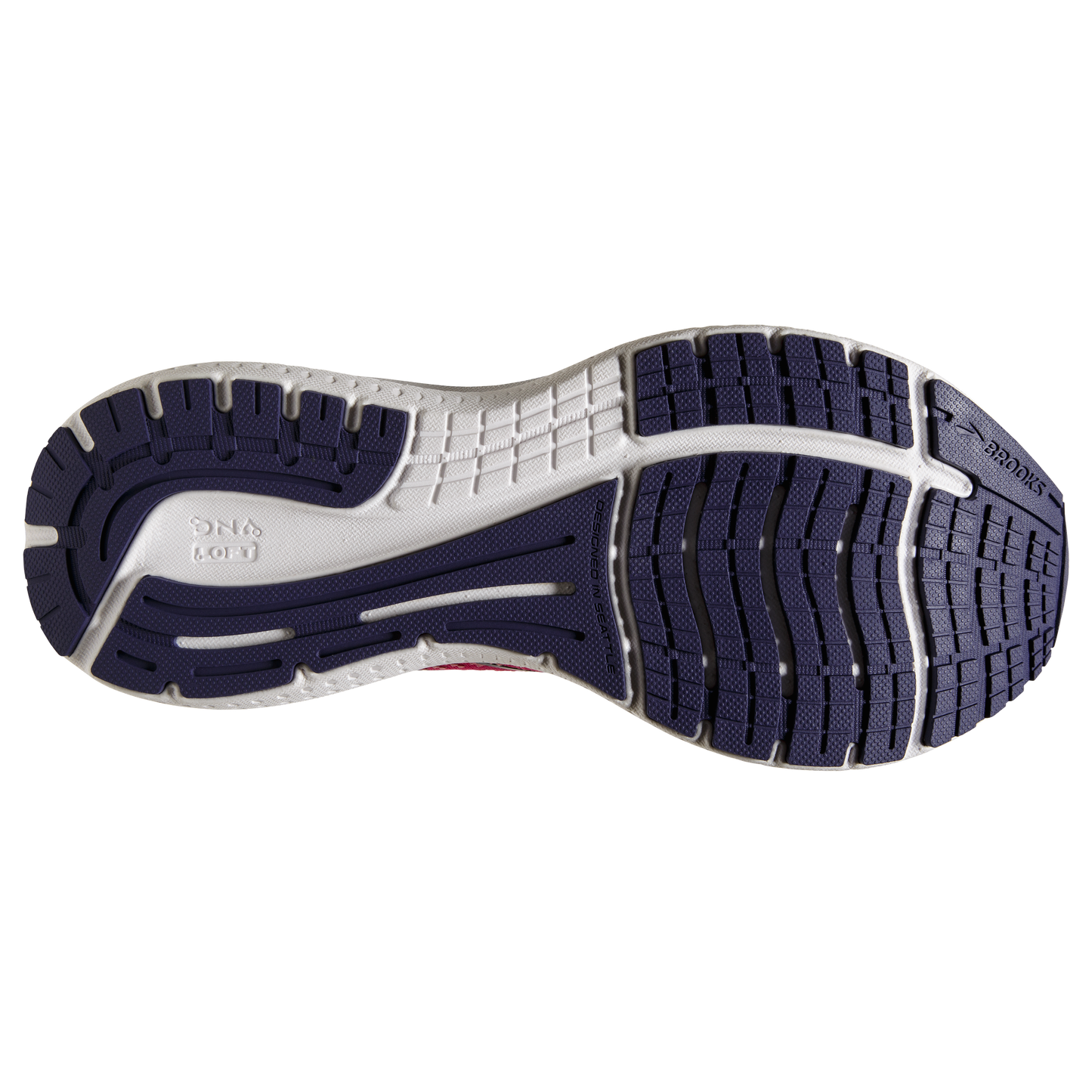 sole