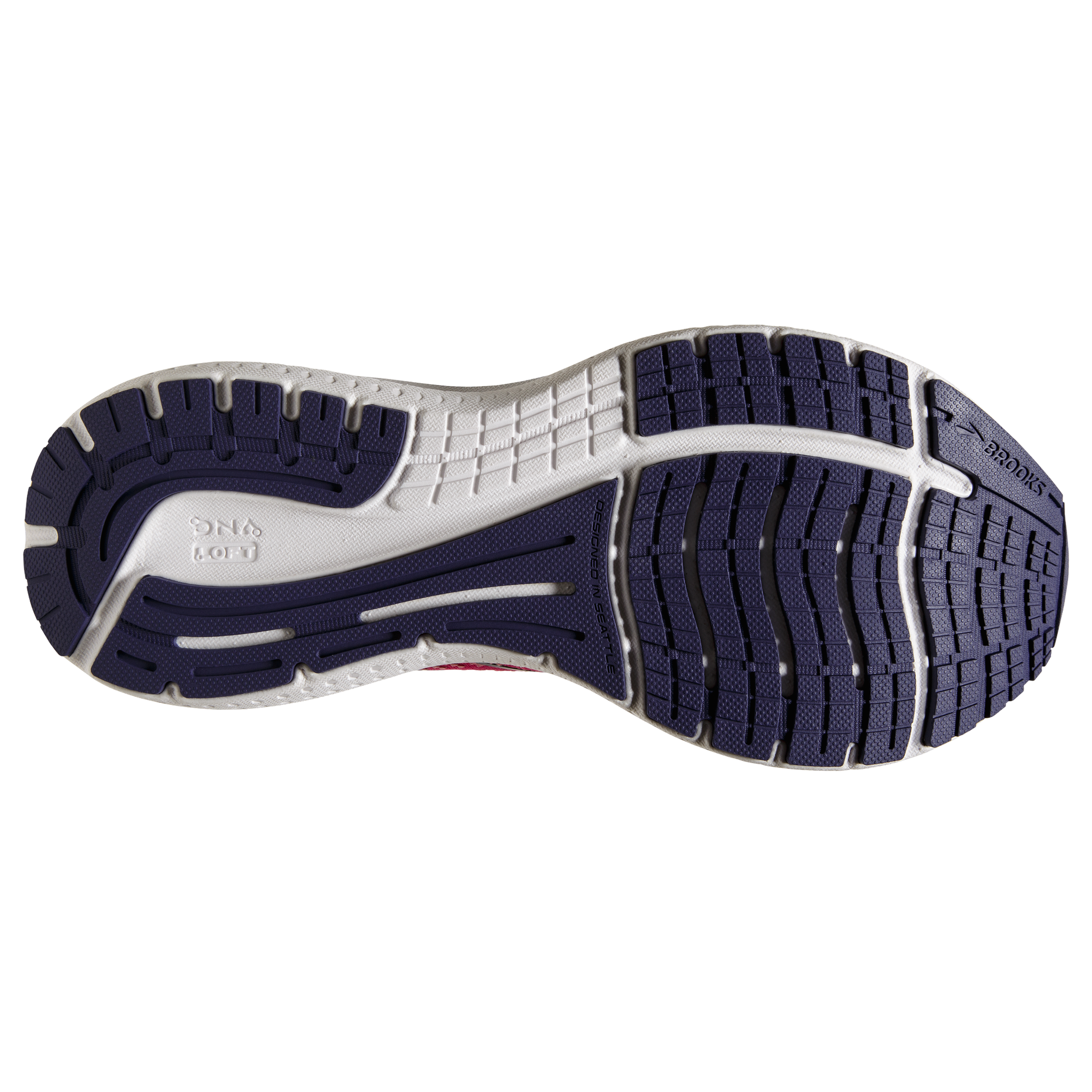sole