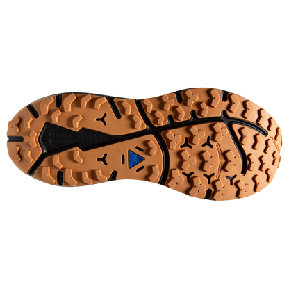 sole