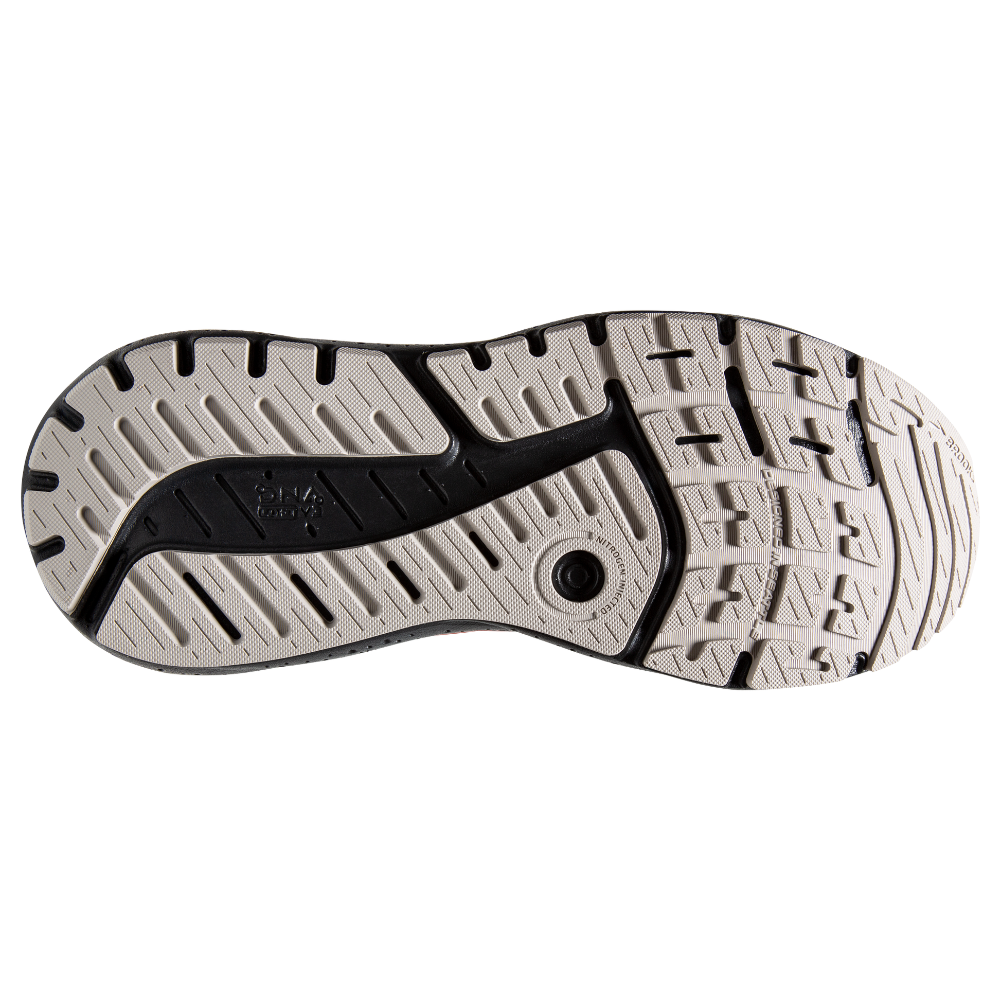 sole