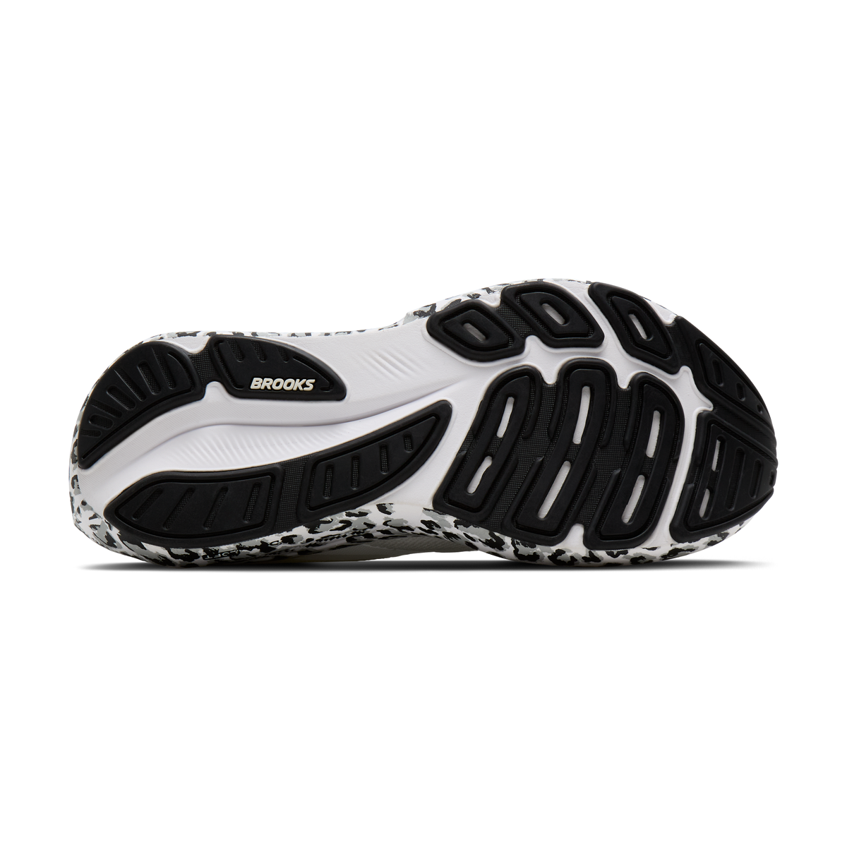sole