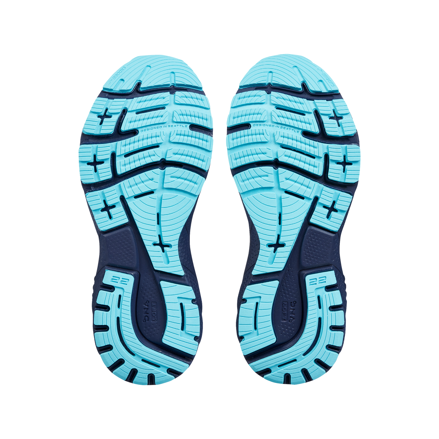 sole