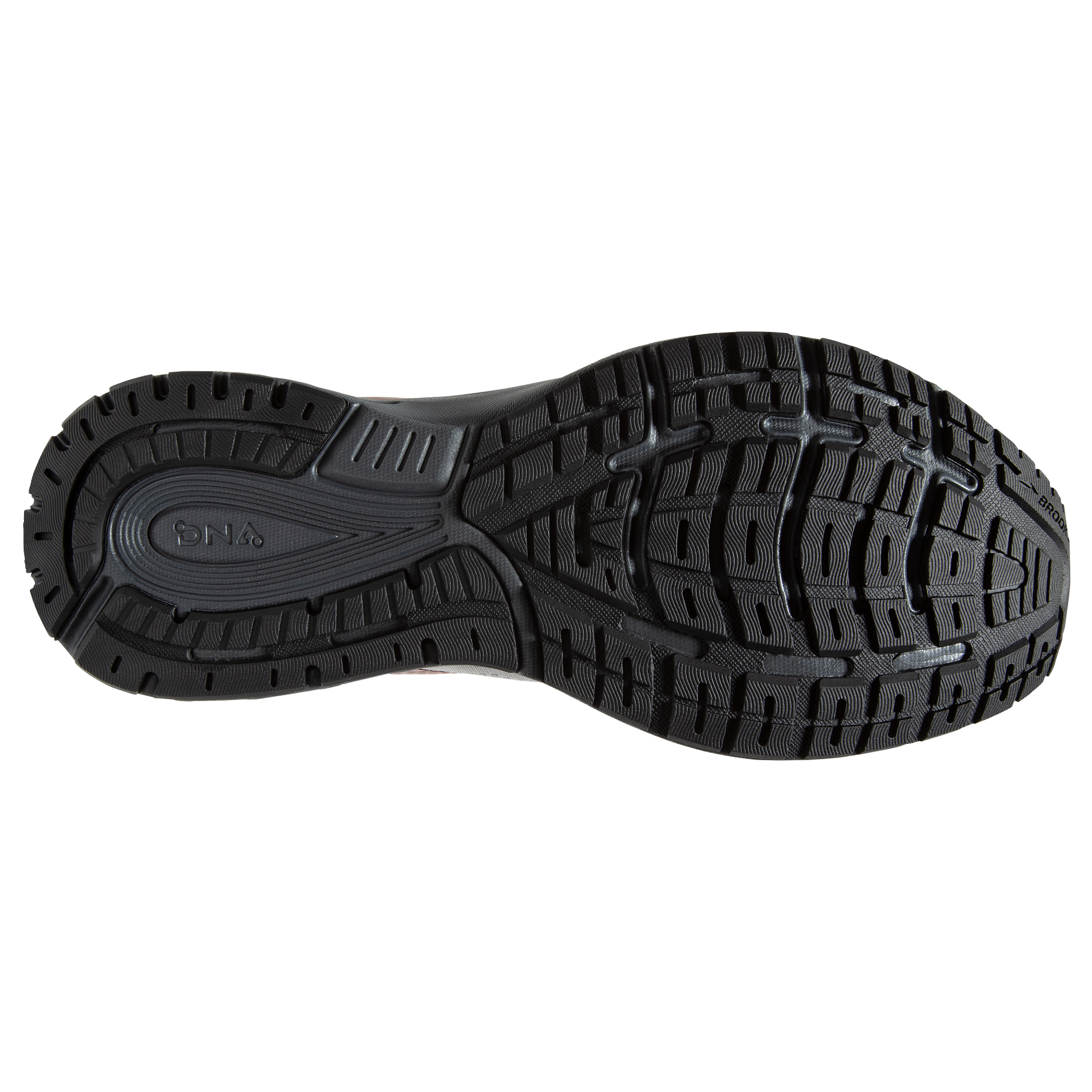 sole