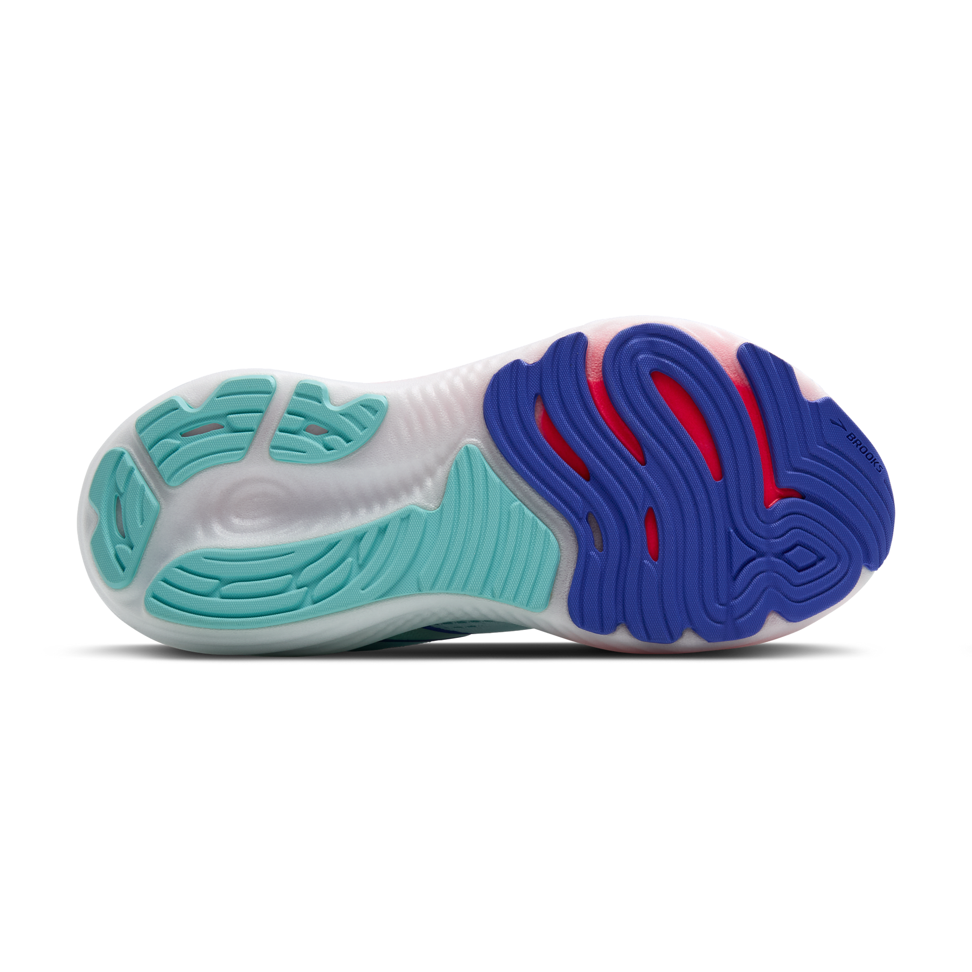sole