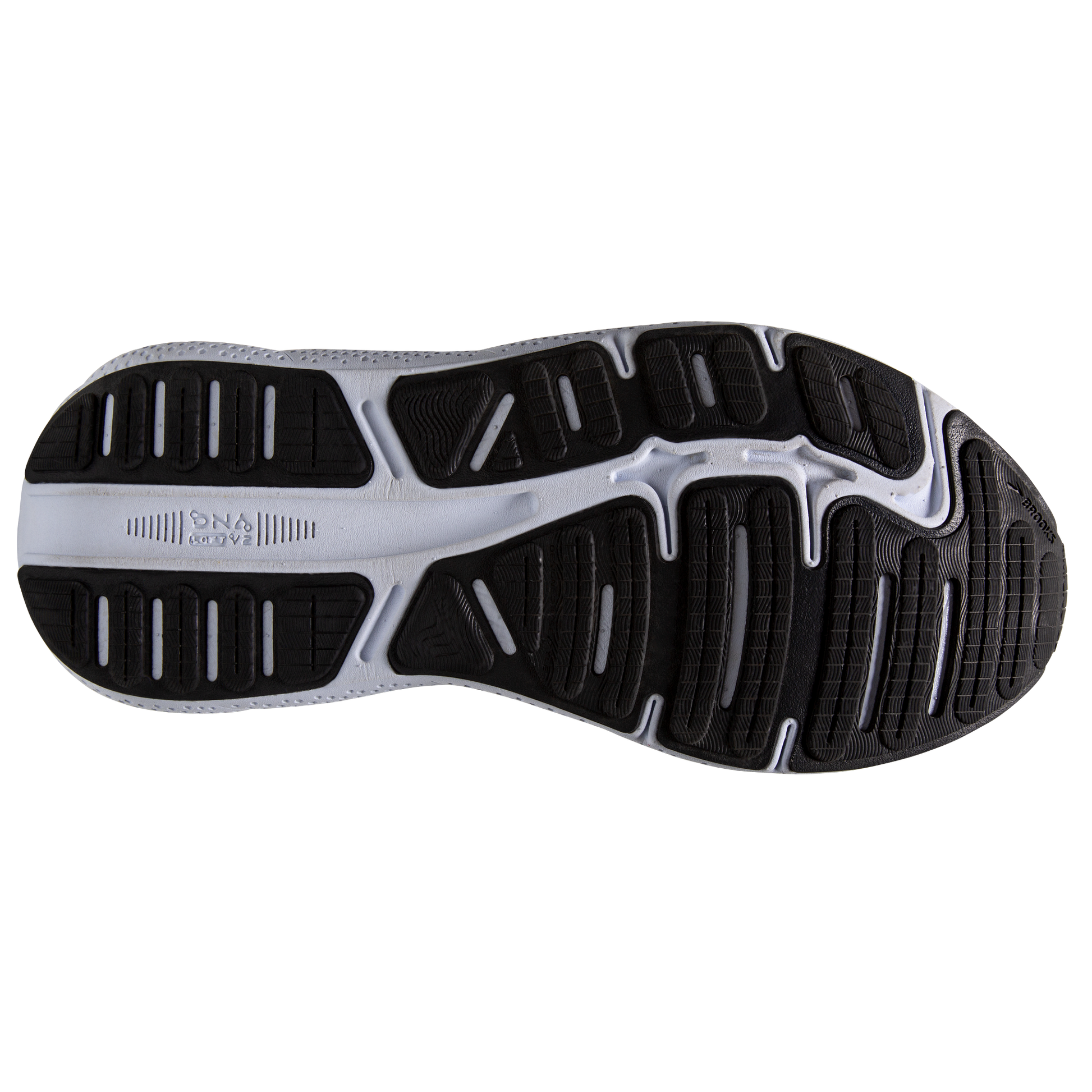 sole