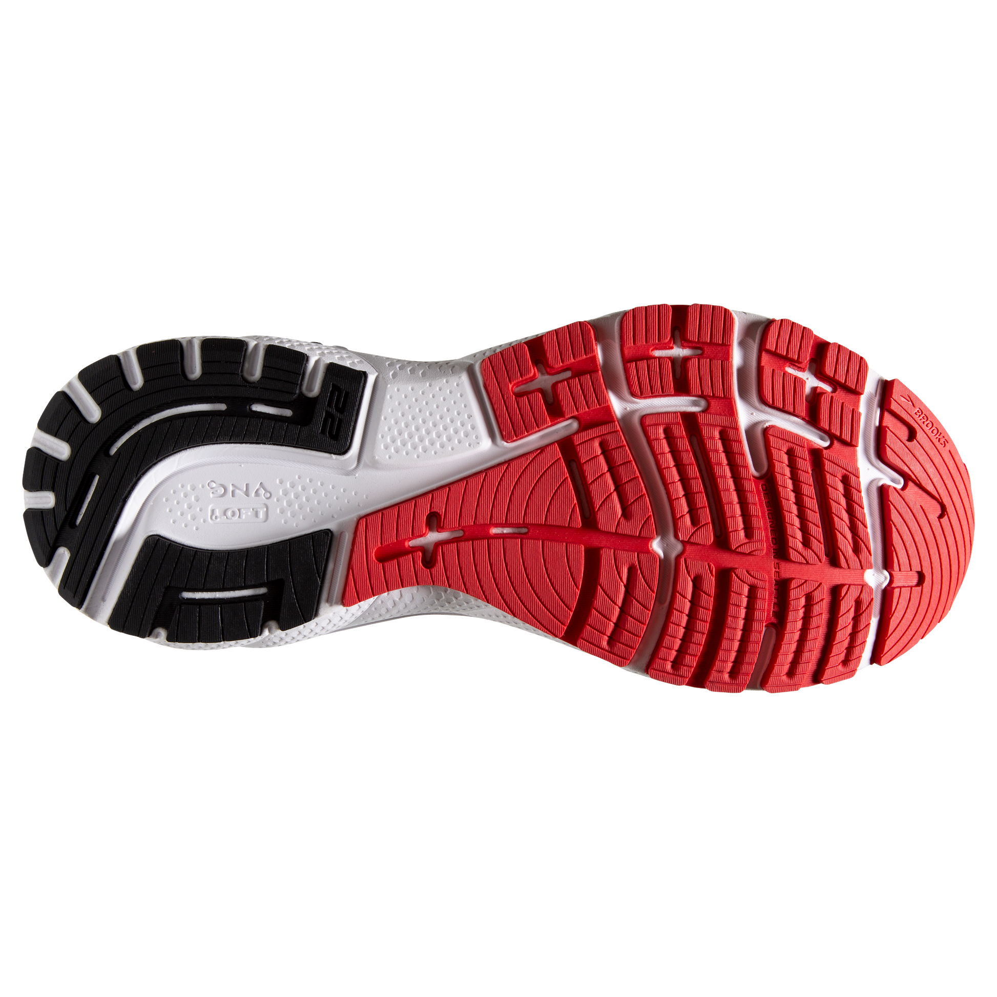 sole