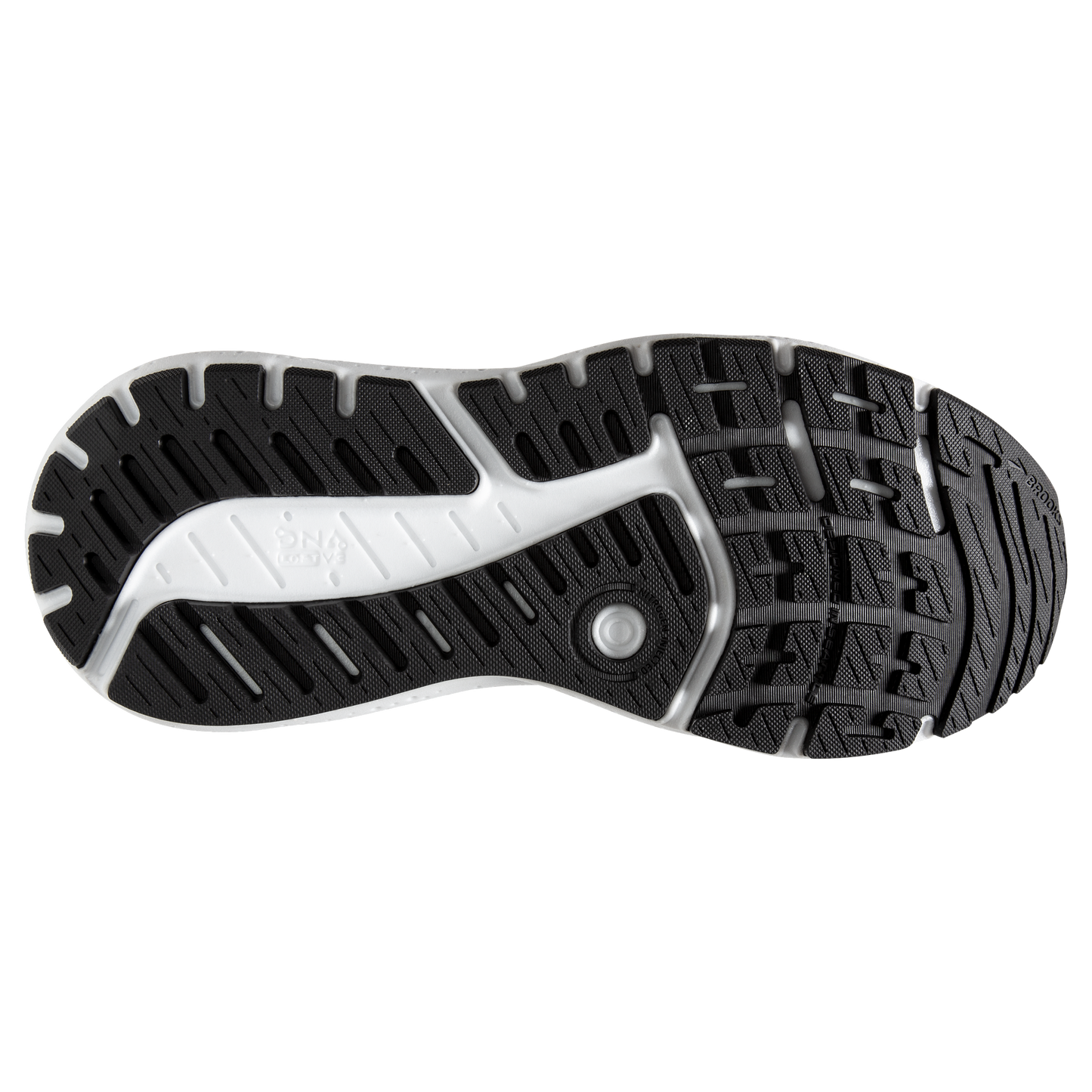 sole