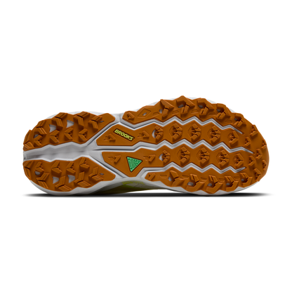 sole