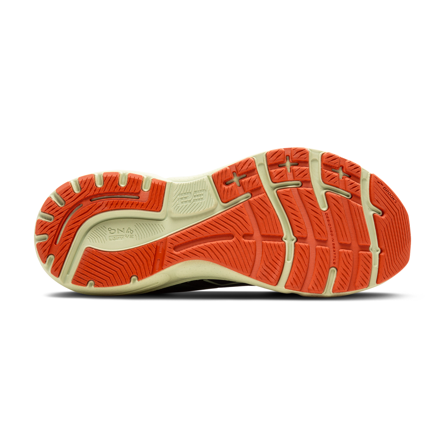 sole