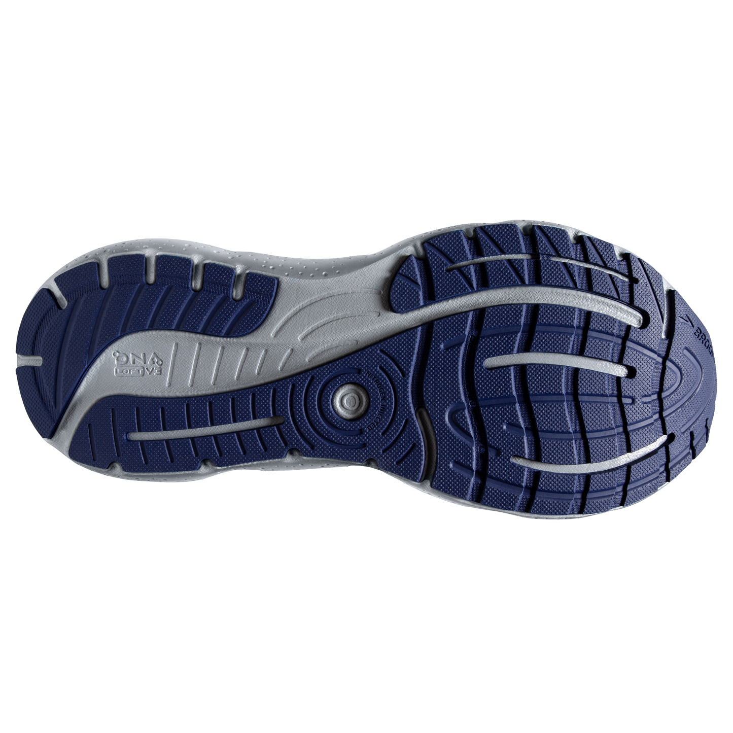 sole