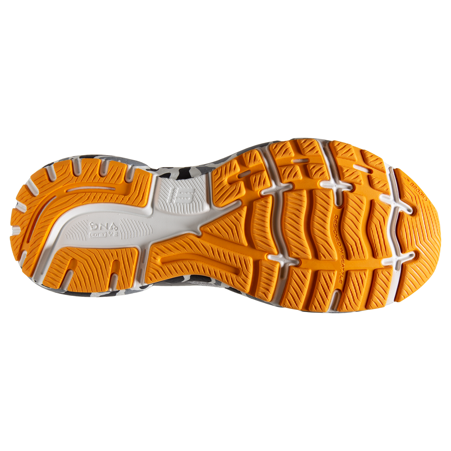 sole