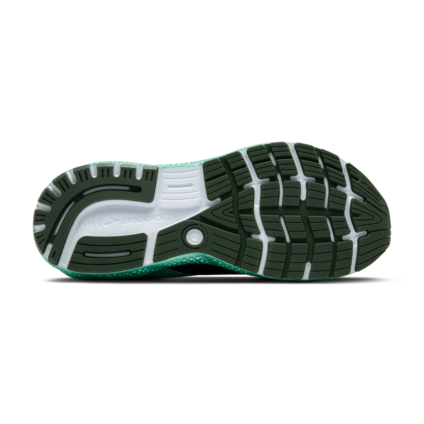 sole