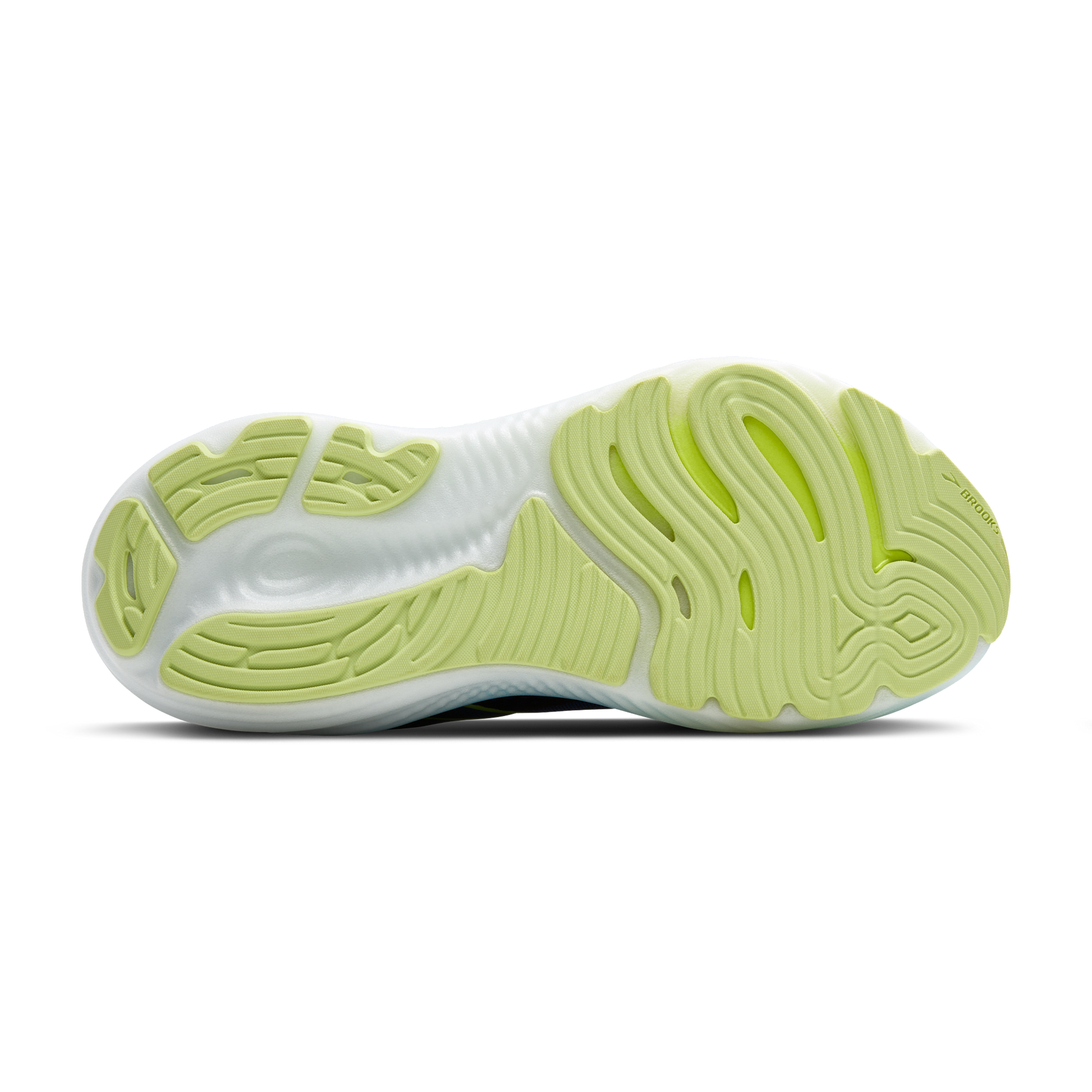 sole