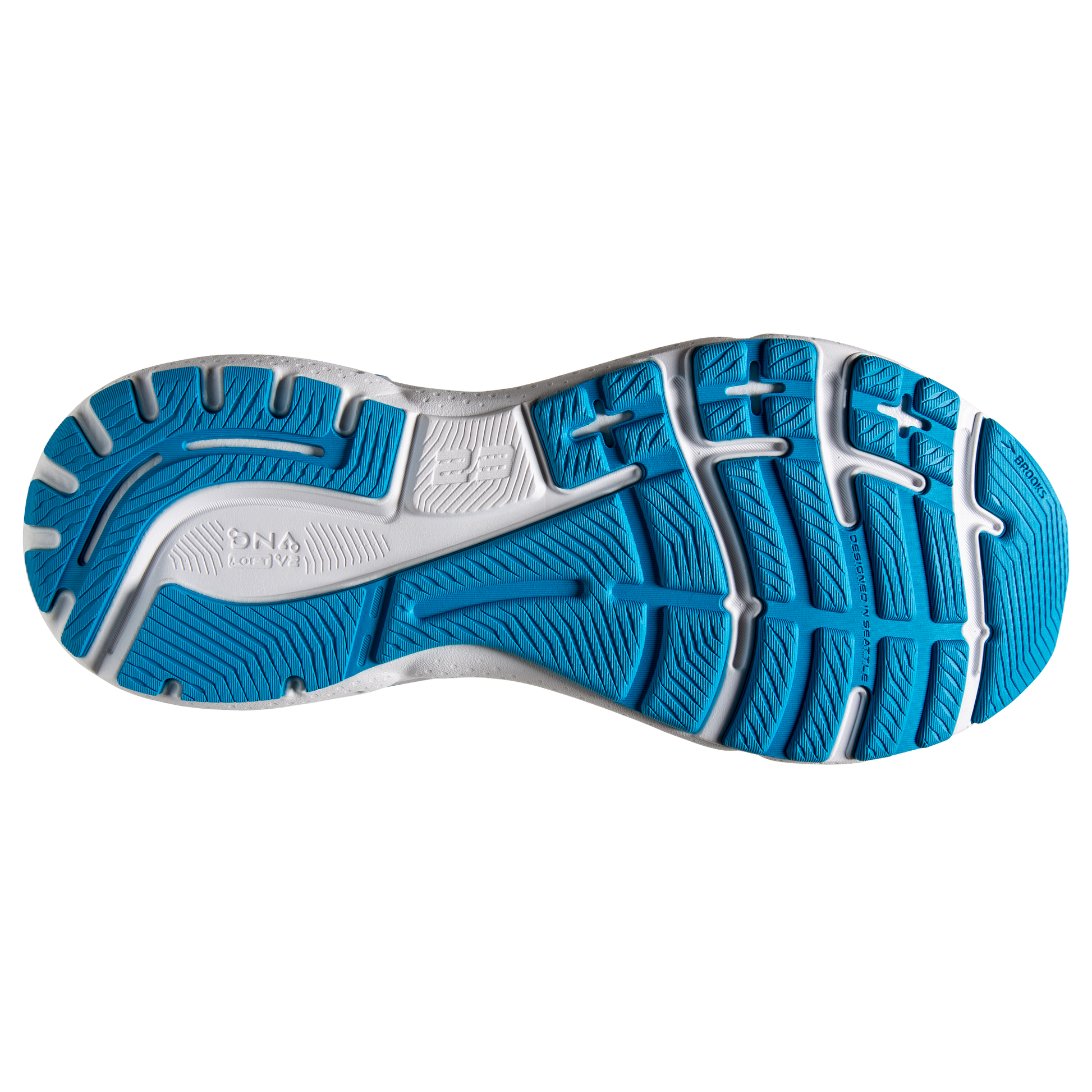 sole