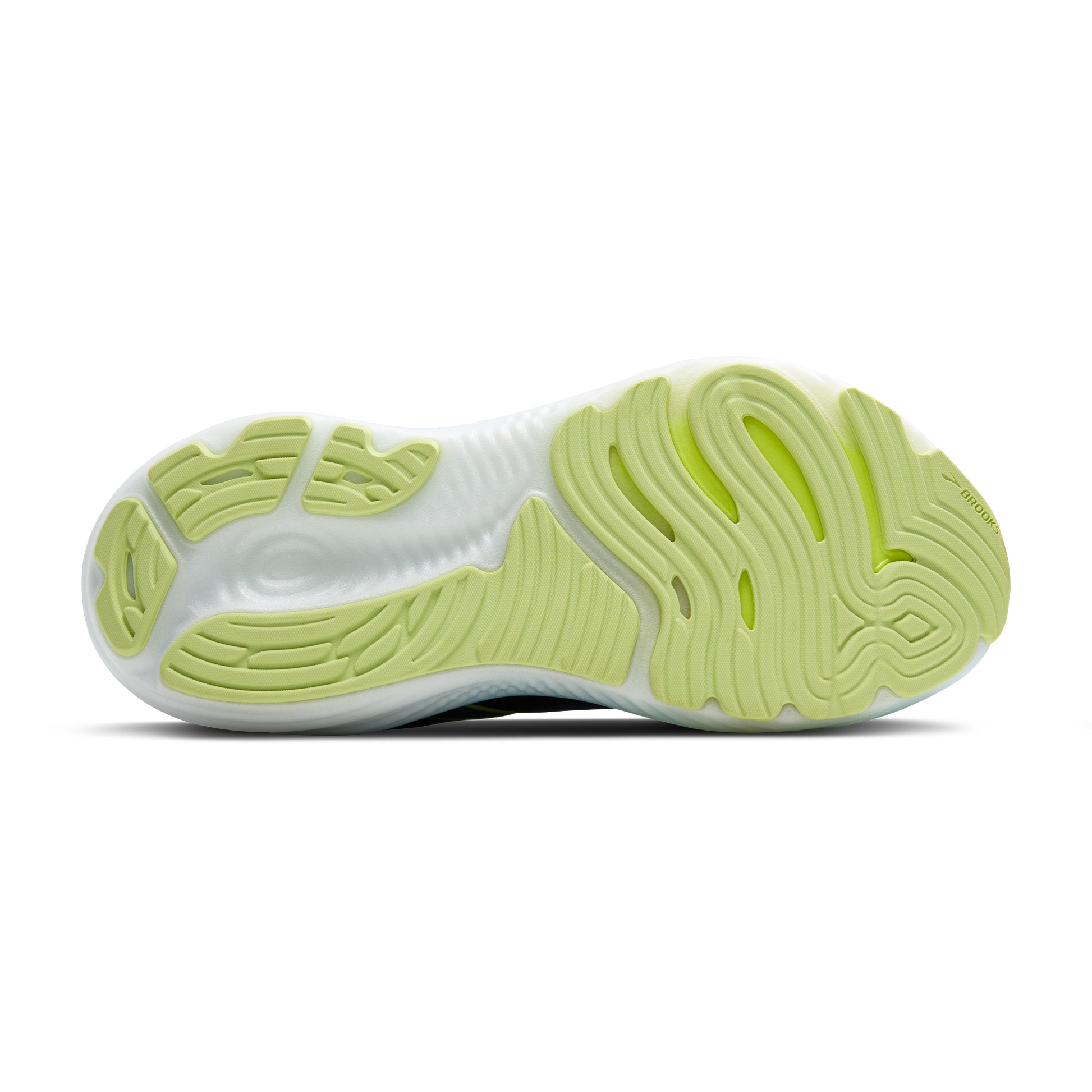 sole