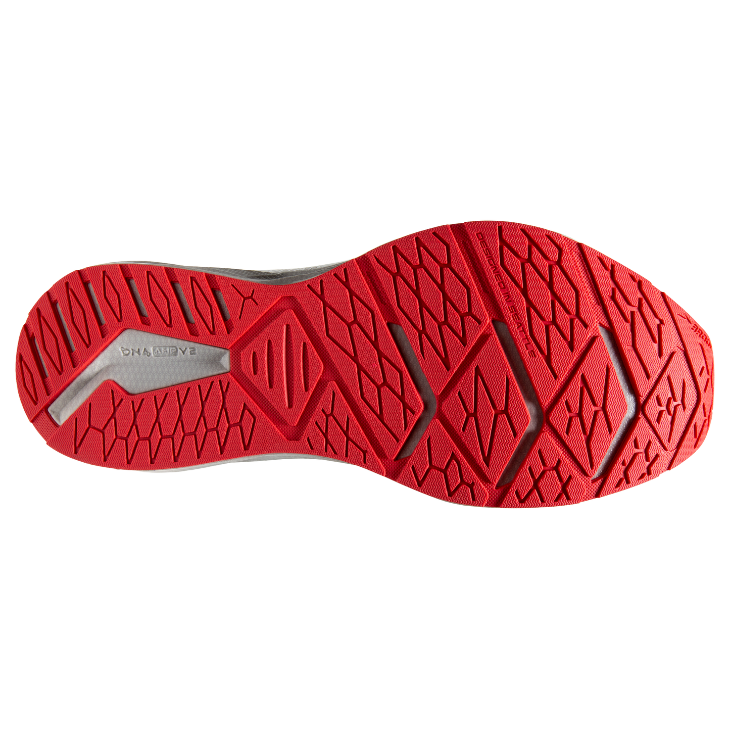 sole