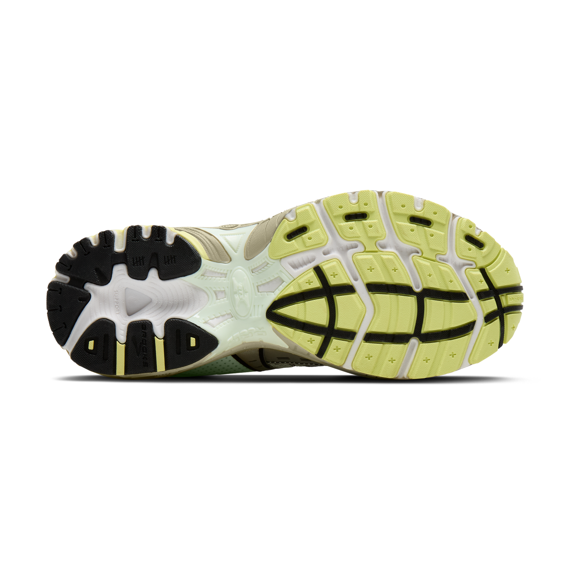 sole