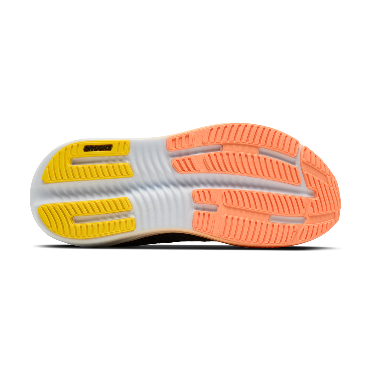 sole