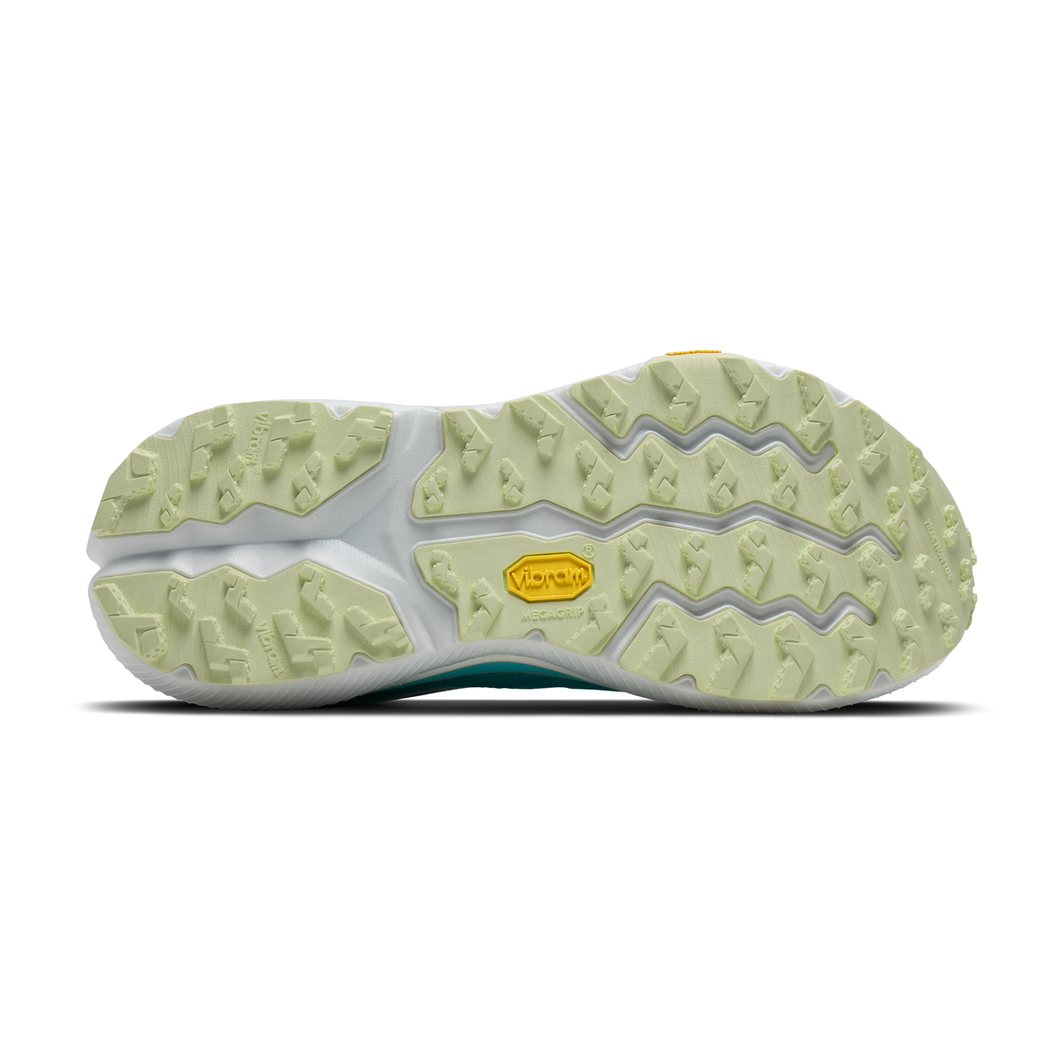 sole