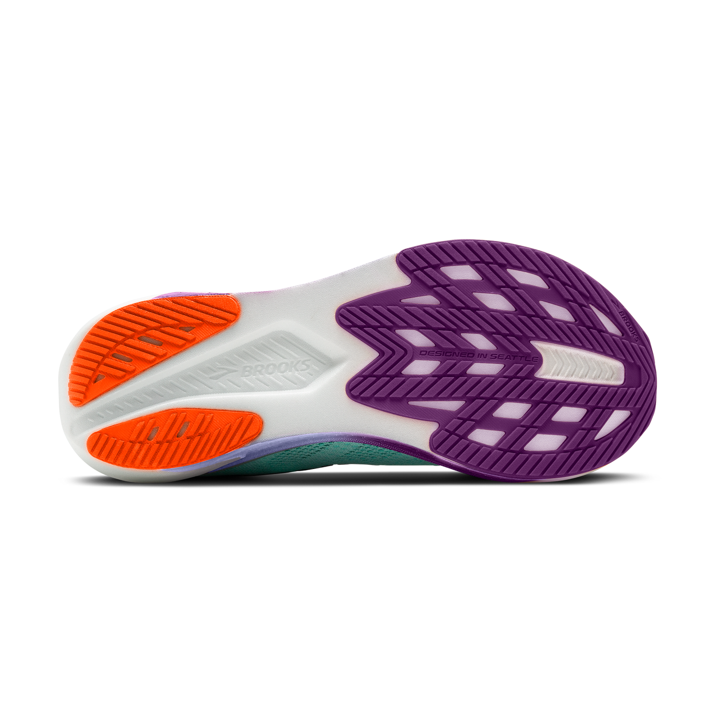 sole