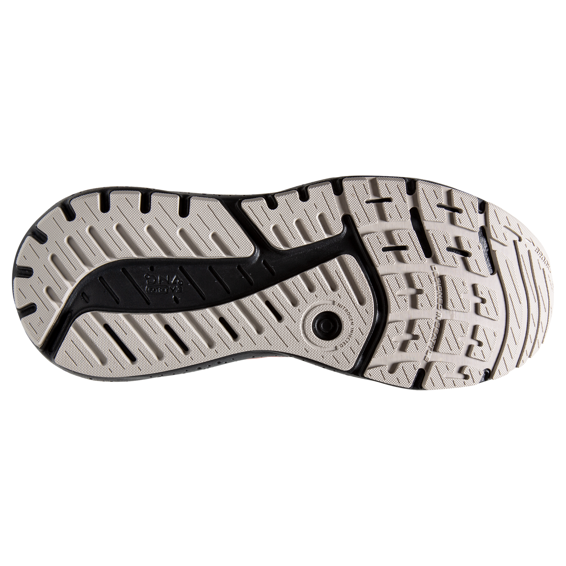 sole